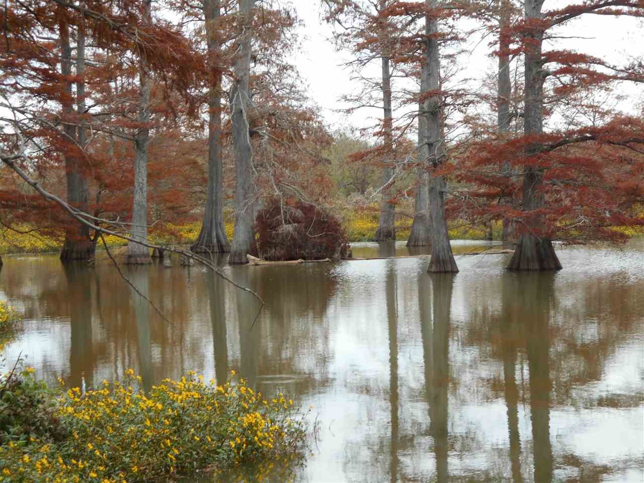 808.71 acres in Sunflower County, Mississippi