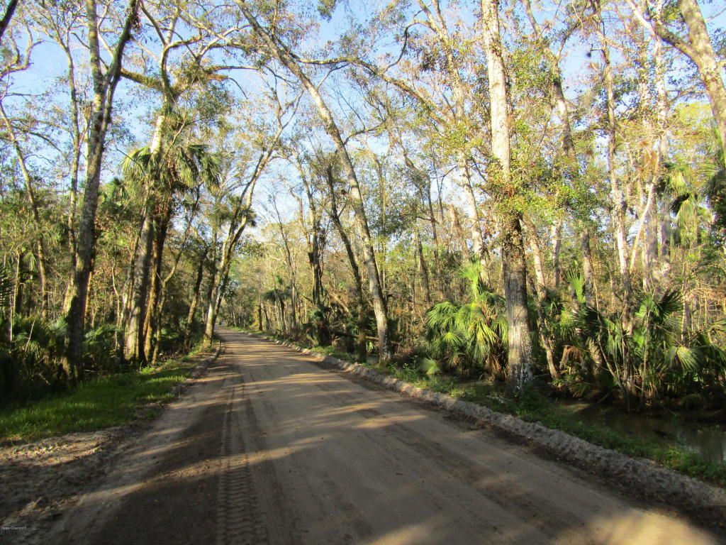 2.5 acres in Brevard County, Florida