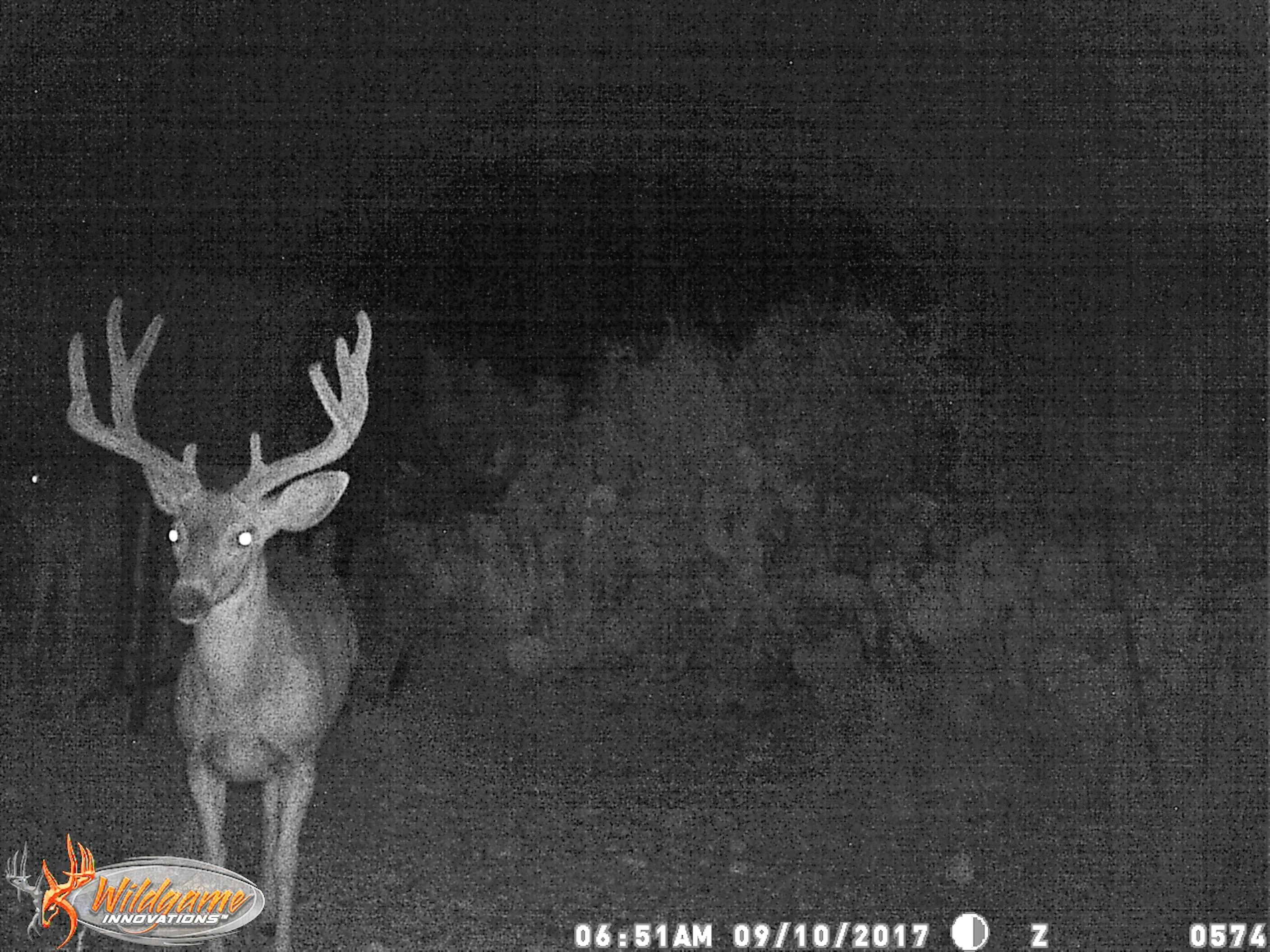 900 acres in Terrell County, Texas