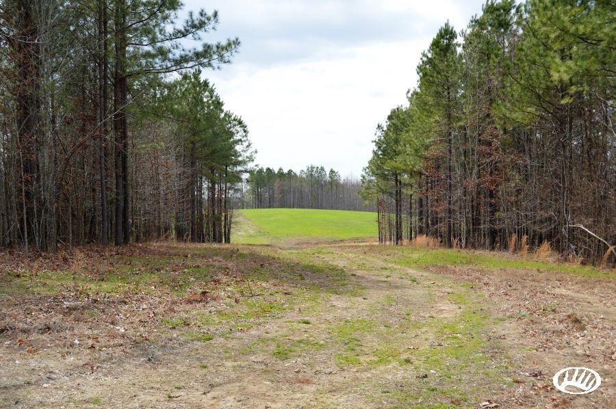 200 acres in Stewart County, Tennessee