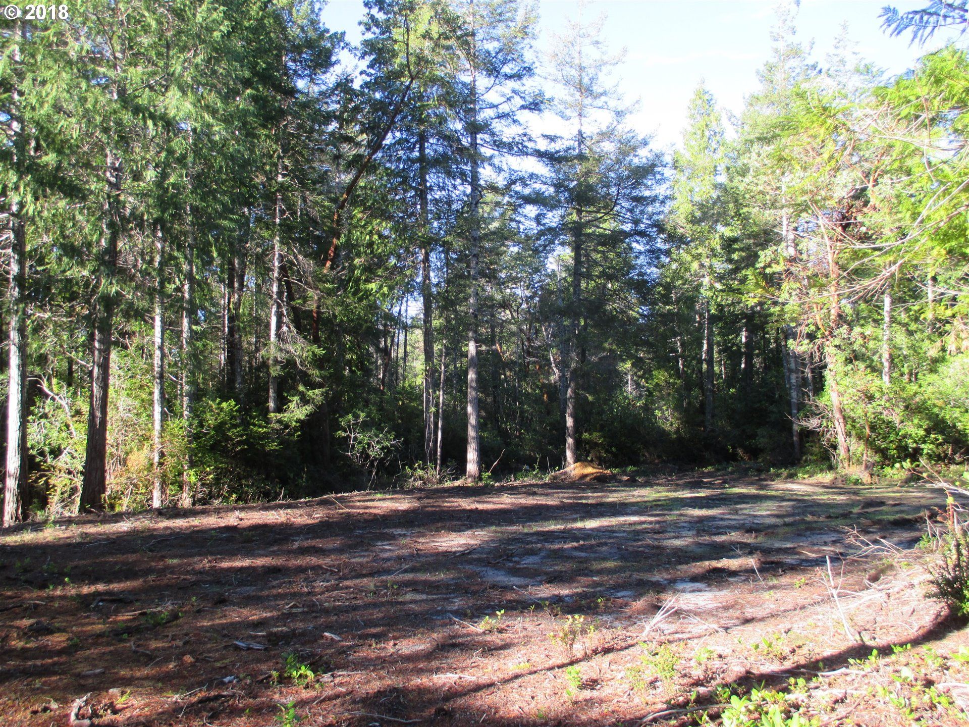 11.16 acres in Coos County, Oregon
