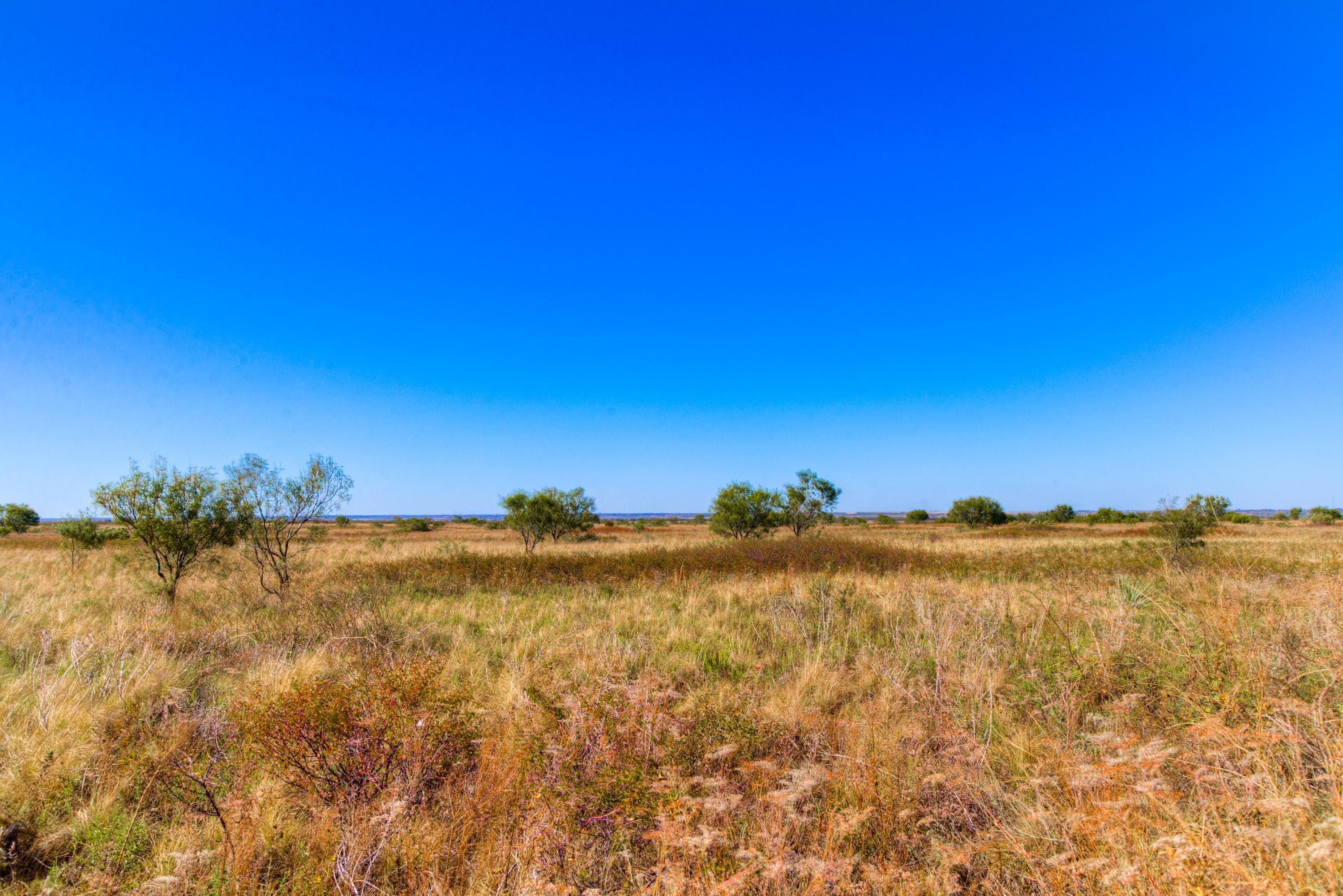 90 acres in Knox County, Texas