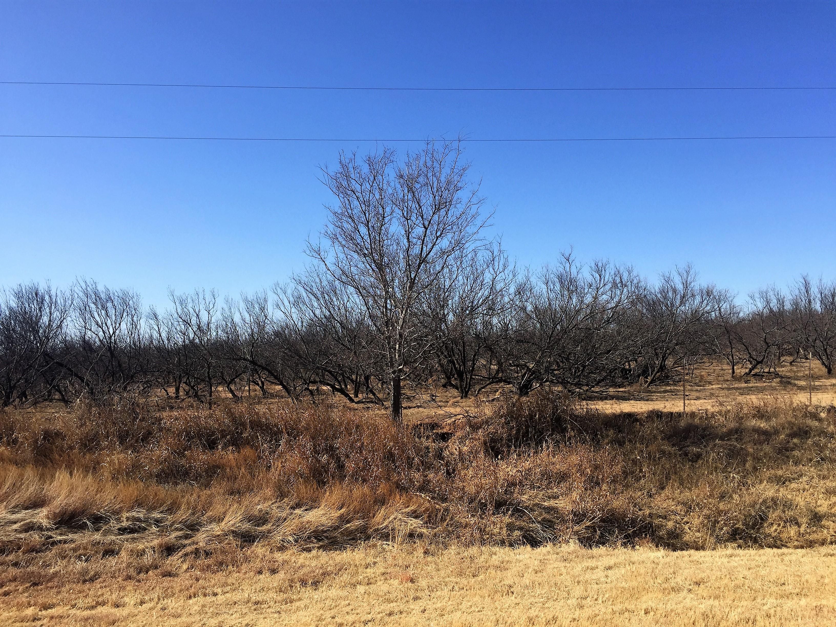 320 acres in Collingsworth County, Texas