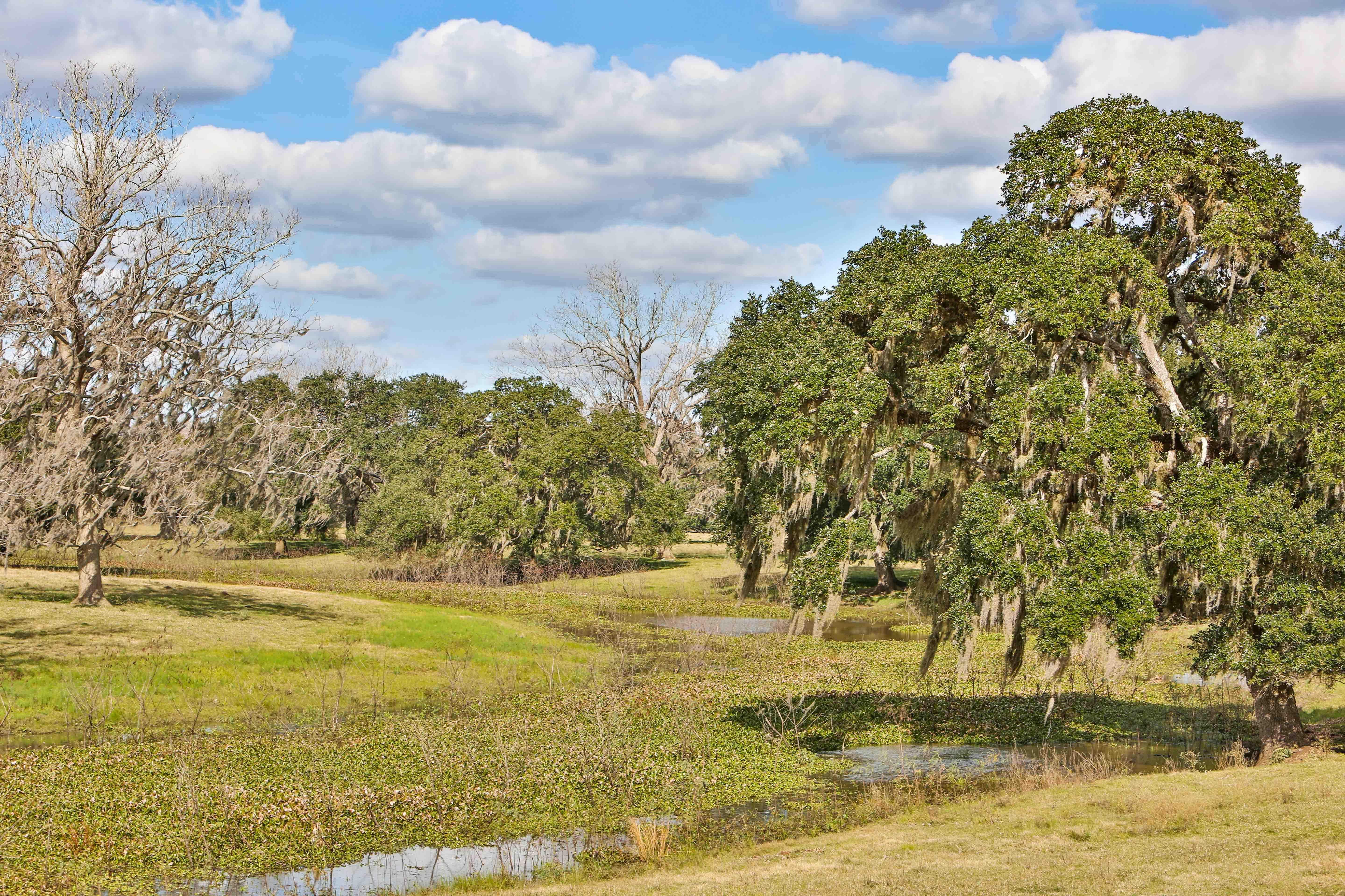 1,067 acres in Brazoria County, Texas