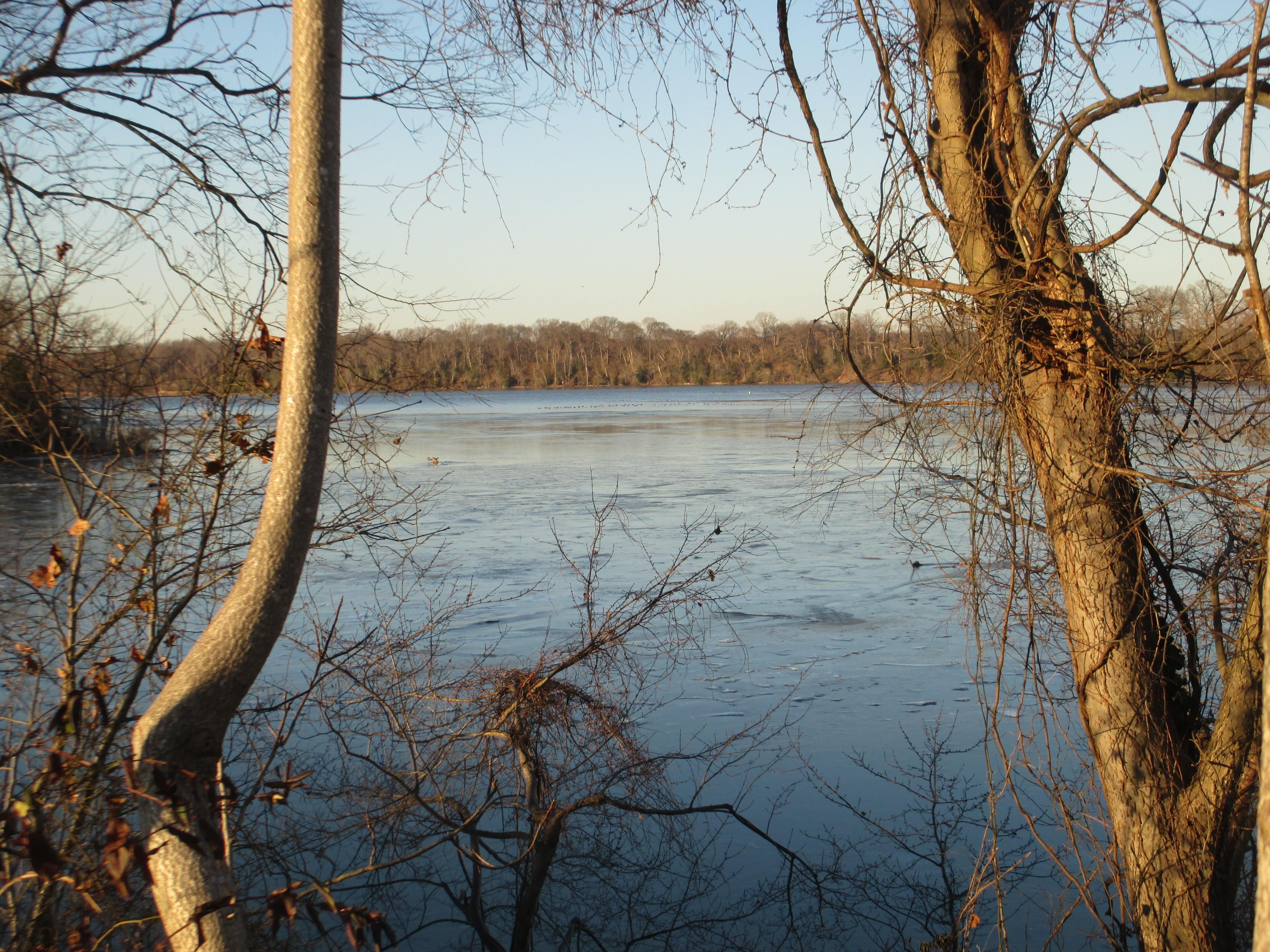 61 acres in Caroline County, Virginia