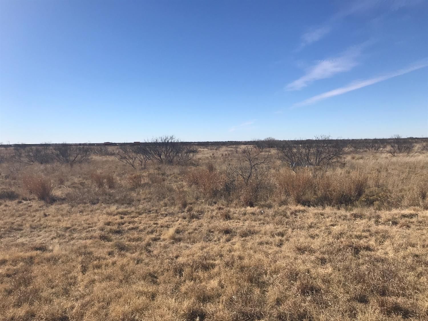 81.81 acres in Gaines County, Texas