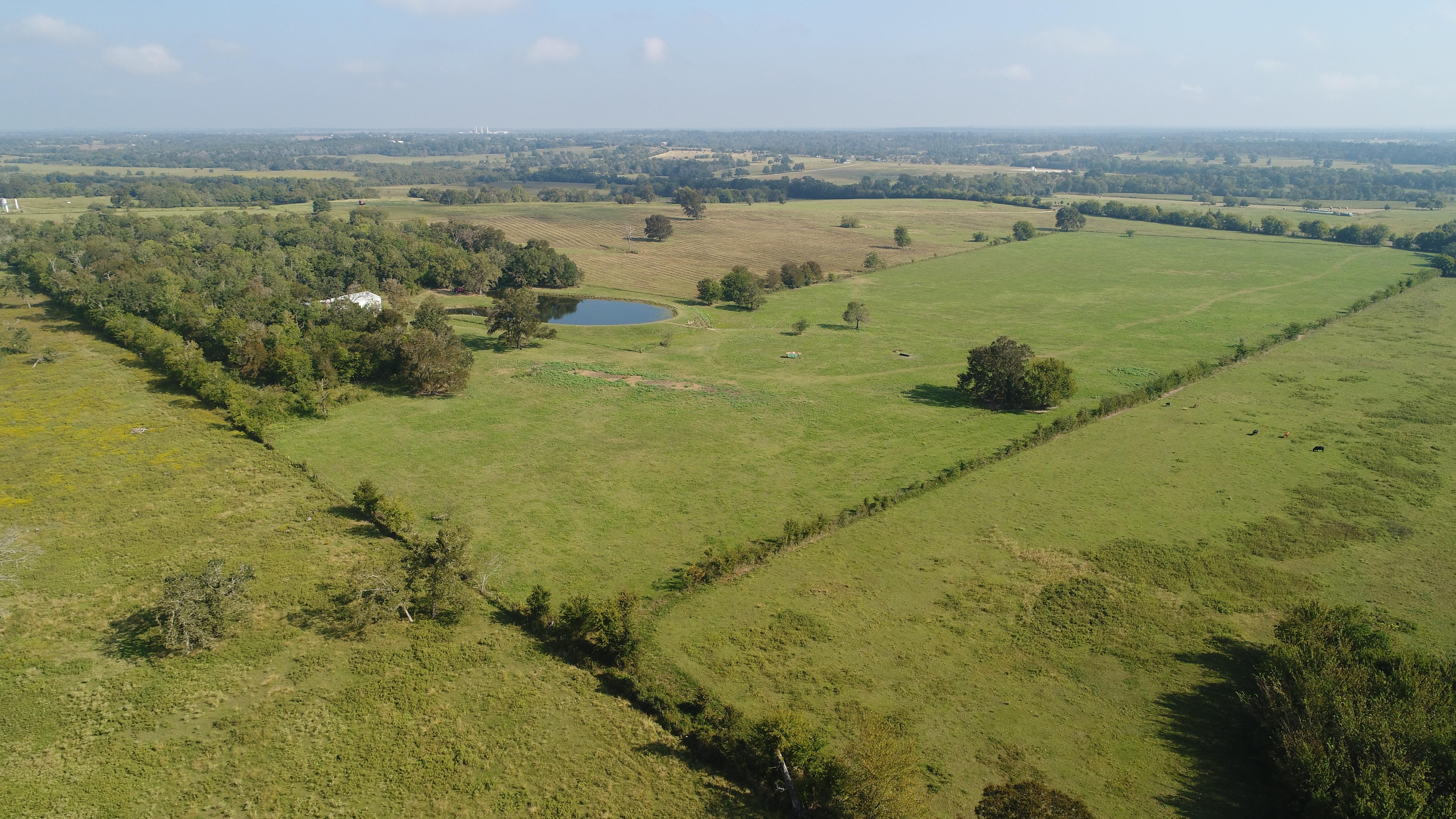 161 acres in Grimes County, Texas