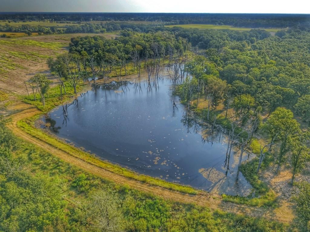 315 acres in Delta County, Texas