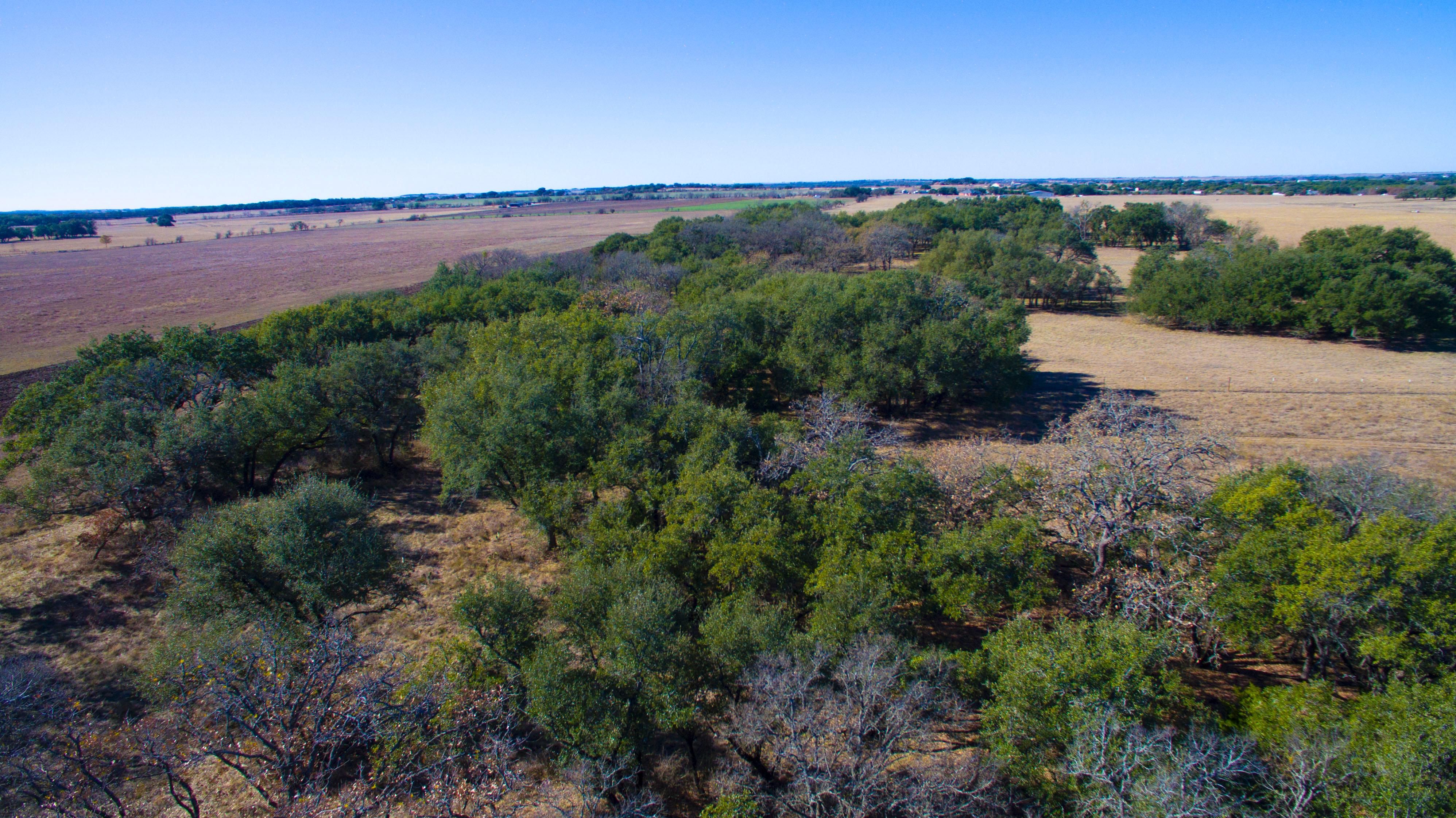 54.89 acres in Williamson County, Texas