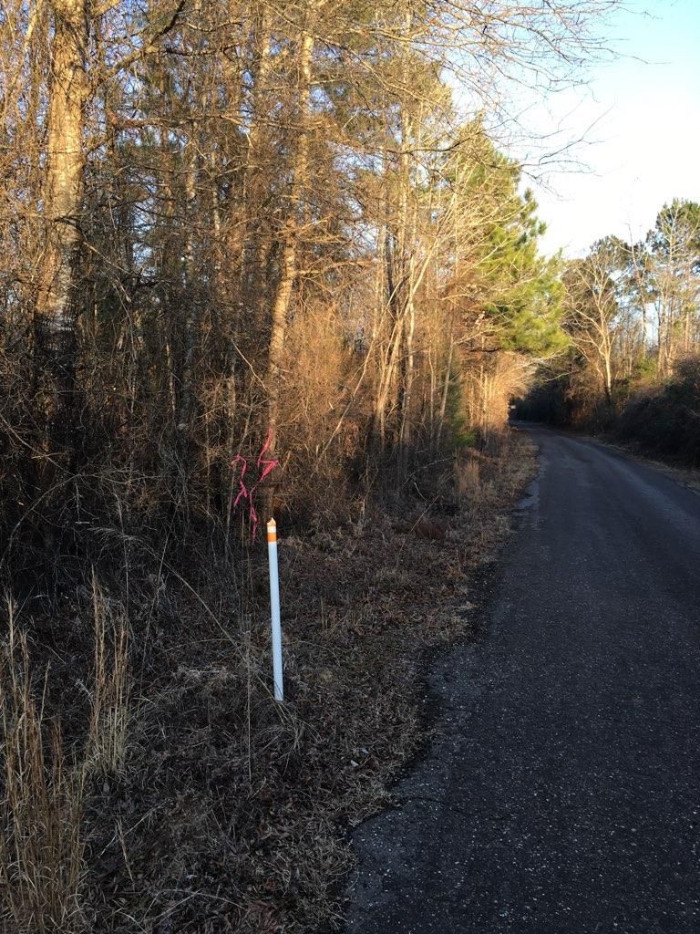 127 acres in Cass County, Texas