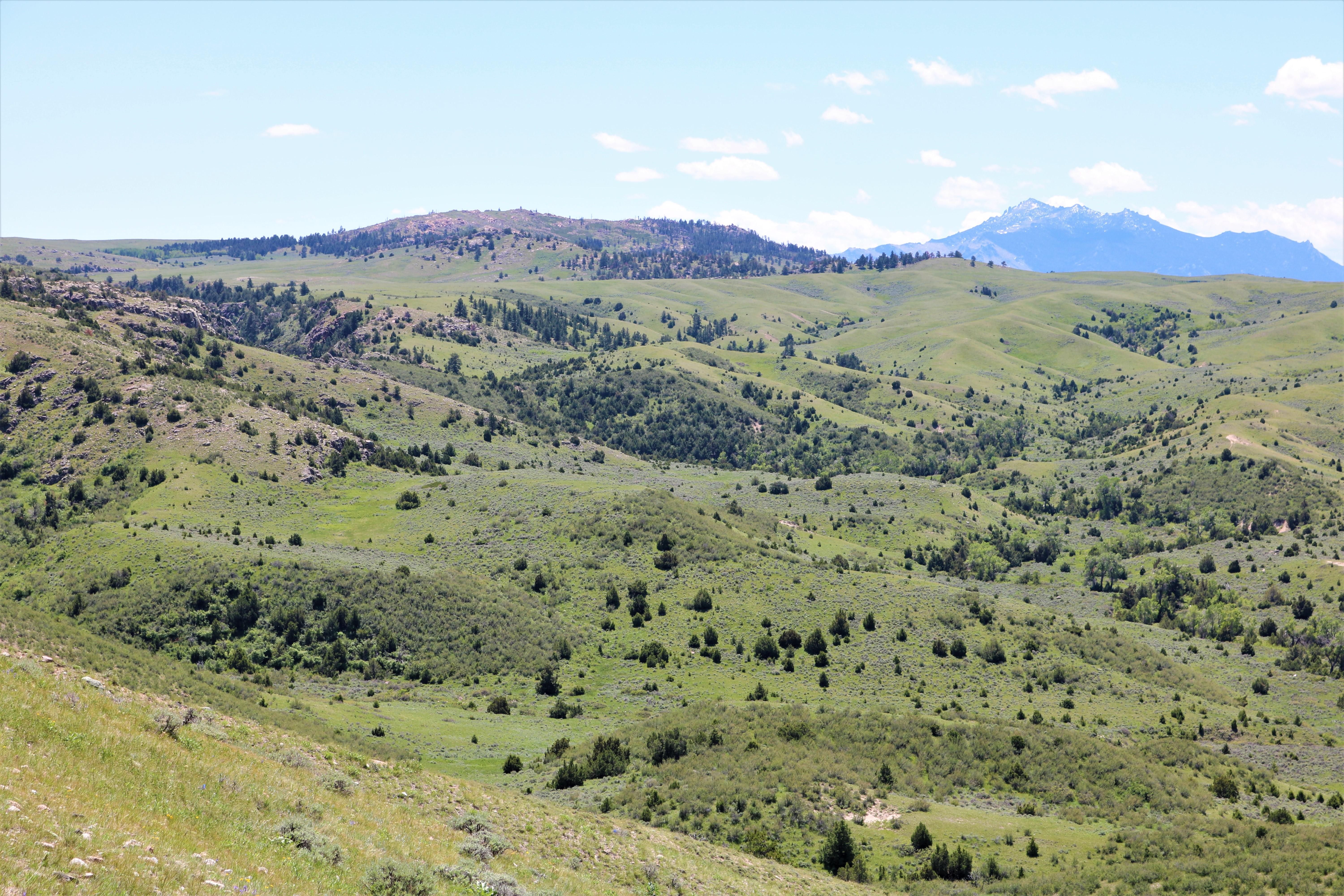 1,623 acres in Converse County, Wyoming