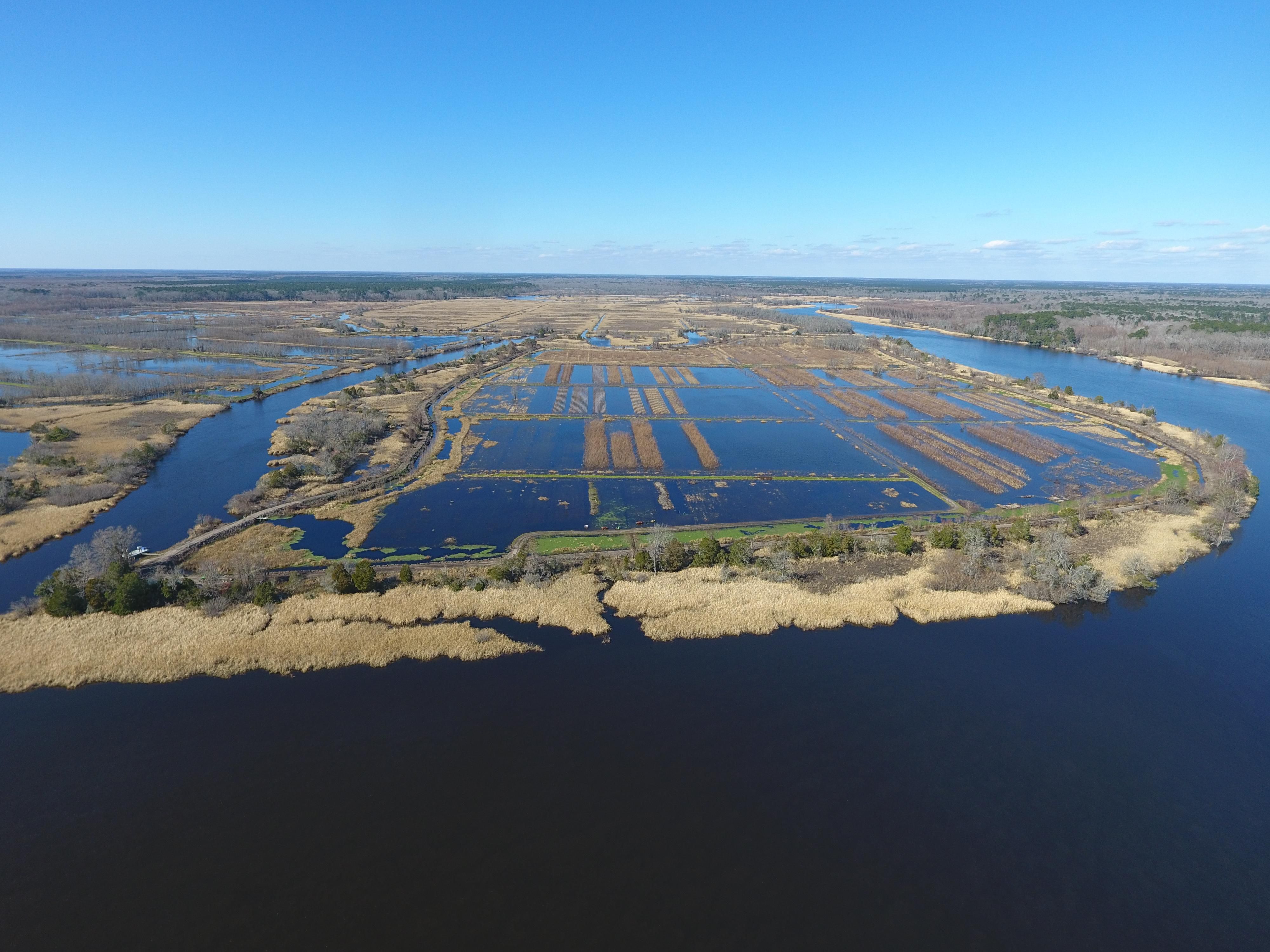 129 acres in Colleton County, South Carolina