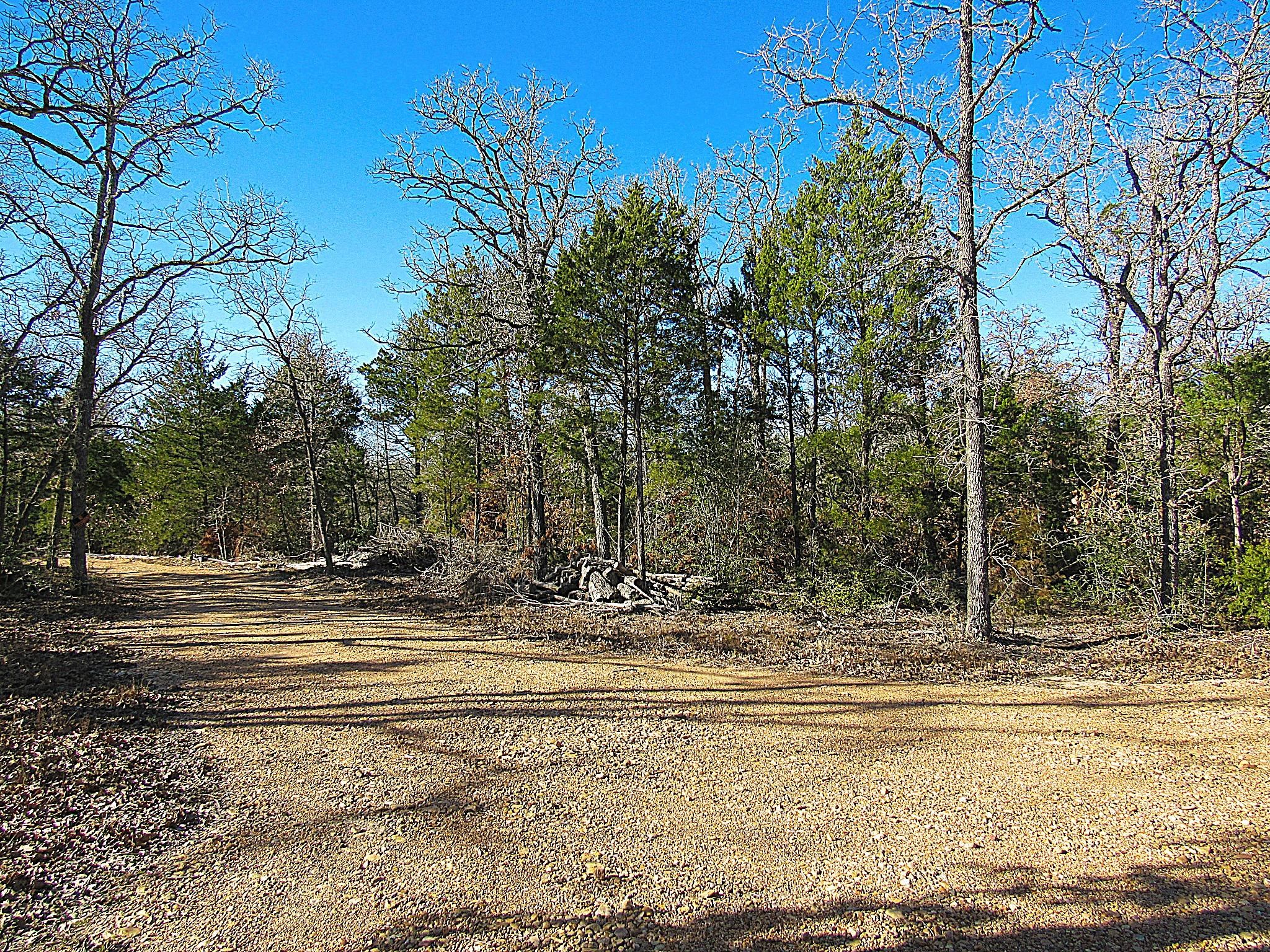 12.81 acres in Bastrop County, Texas
