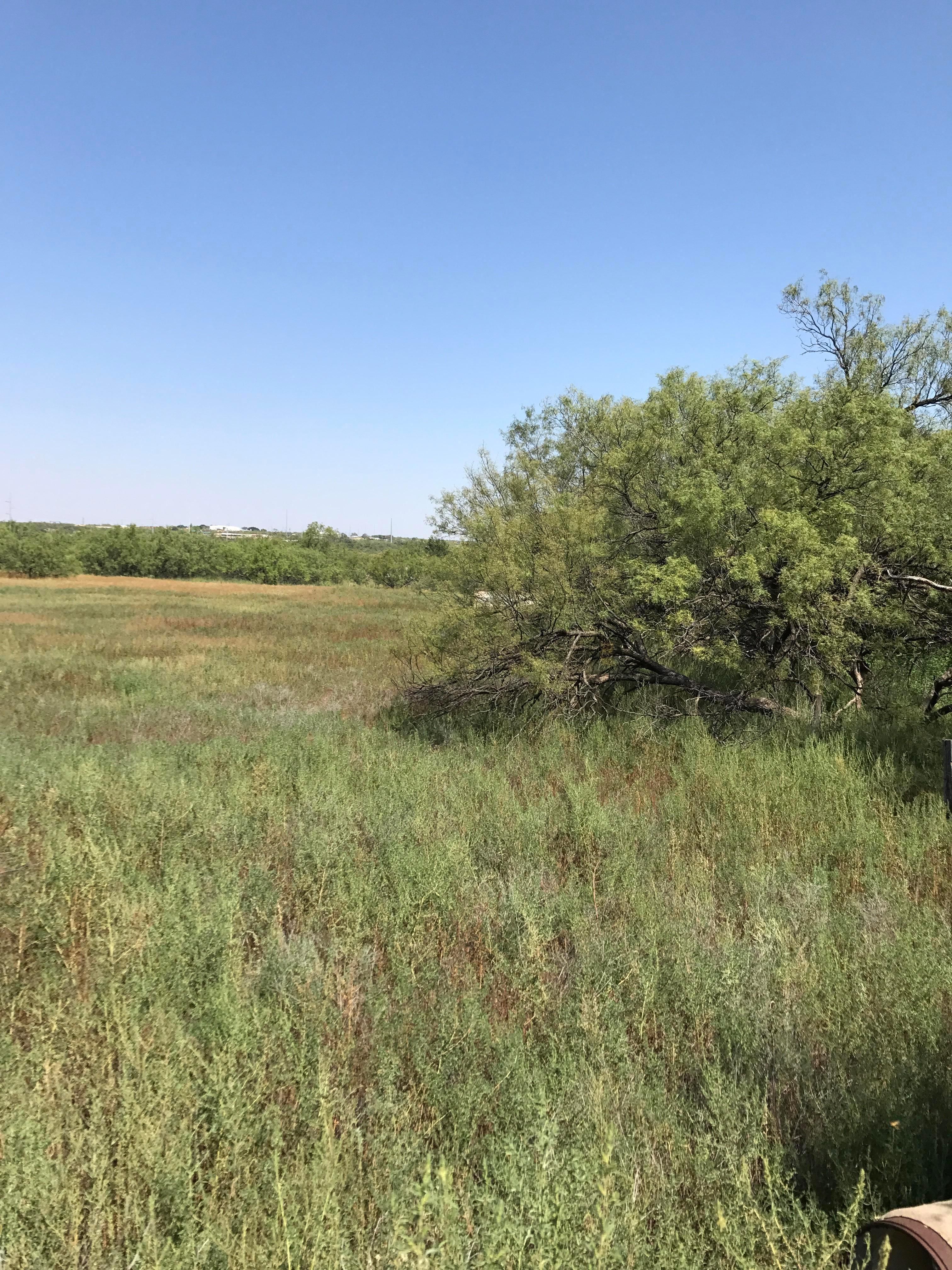15.4 acres in Howard County, Texas