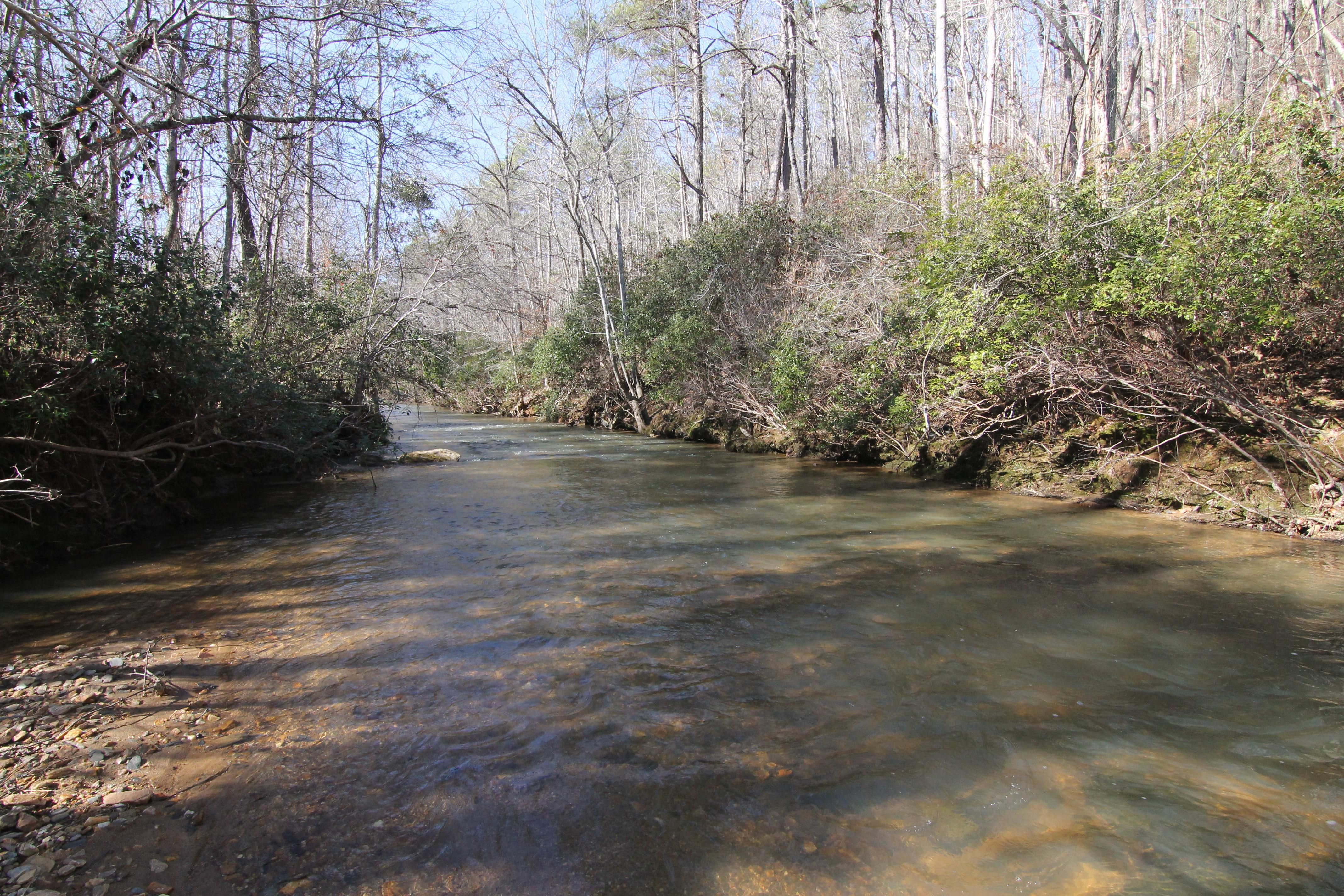 70 acres in Randolph County, Alabama