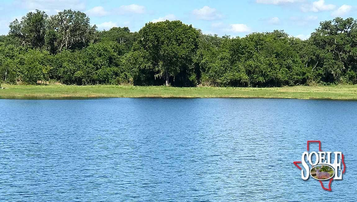 260 acres in Guadalupe County, Texas