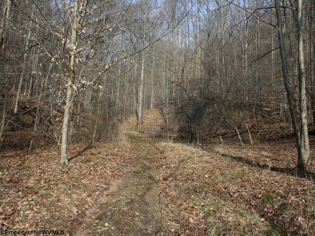 64 acres in Doddridge County, West Virginia