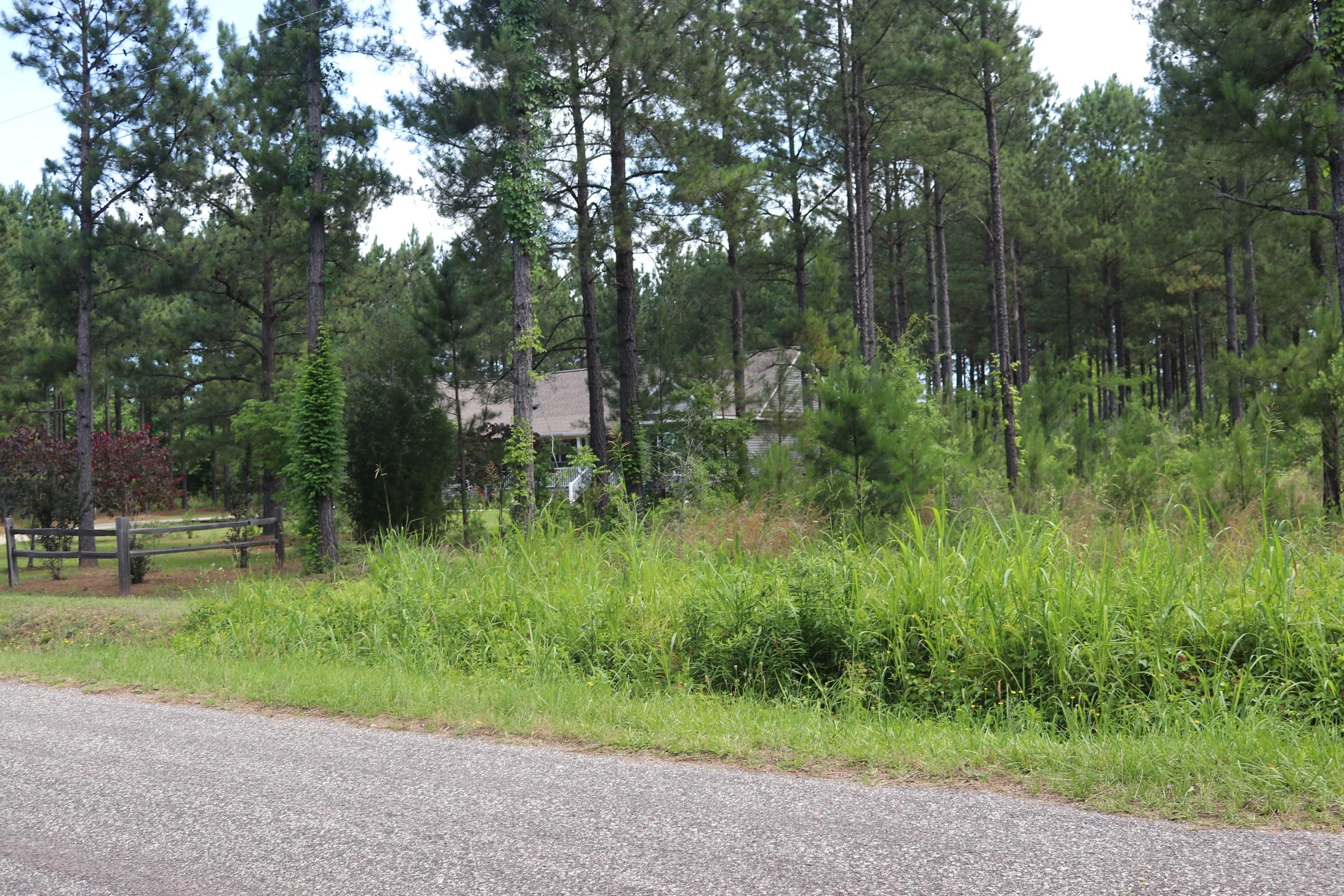 3.5 acres in Edgefield County, South Carolina
