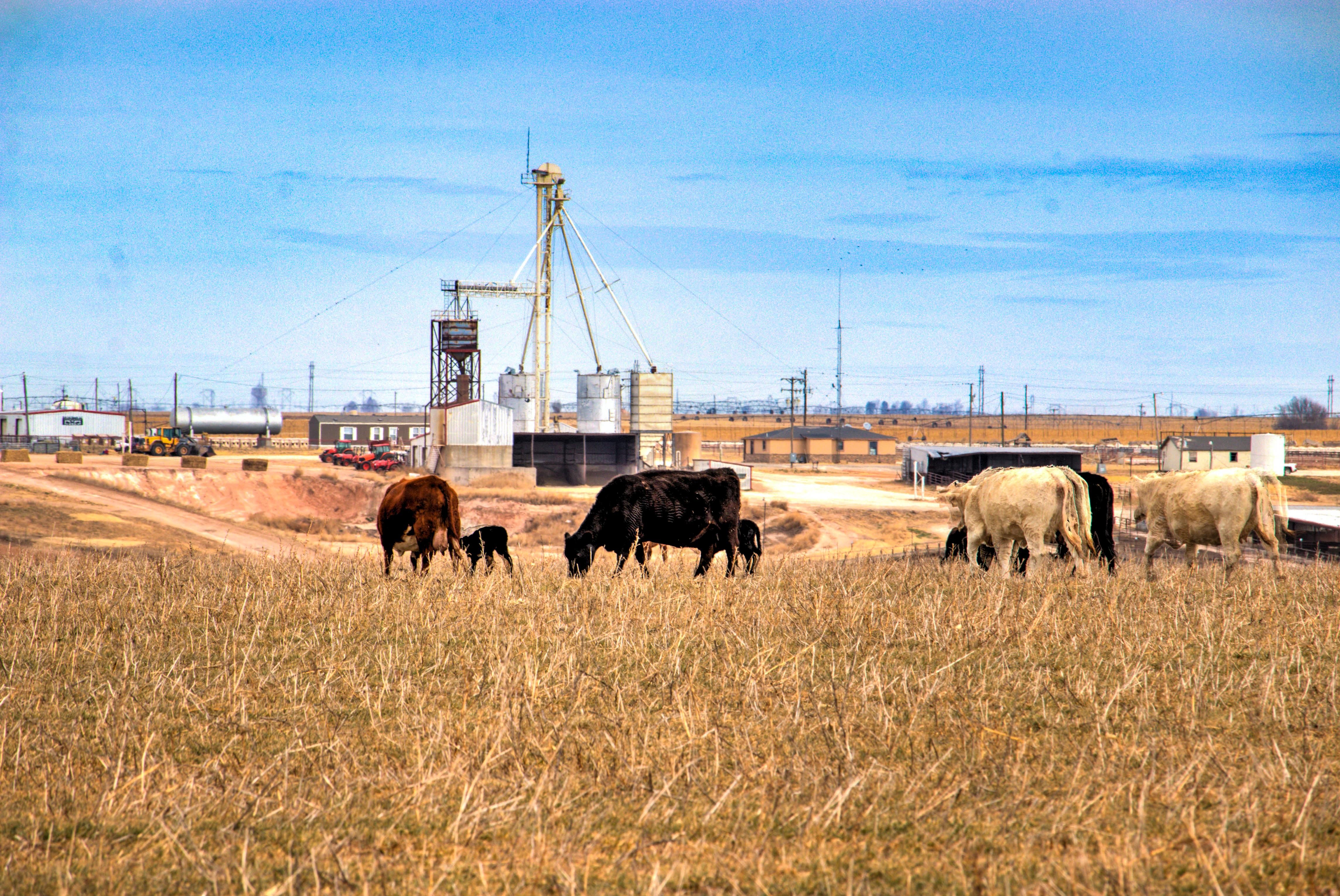 1,180 acres in Castro County, Texas