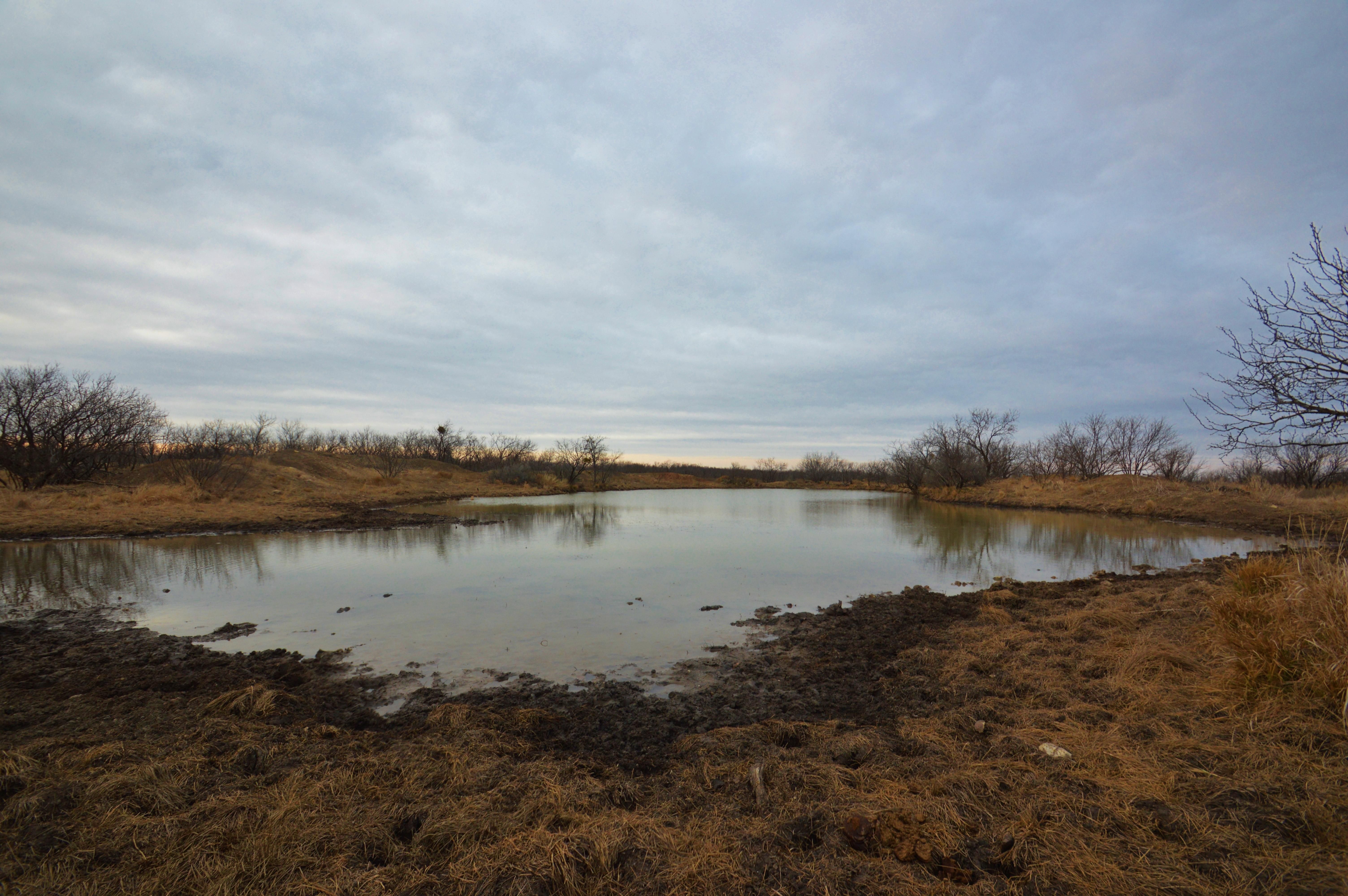 248 acres in Throckmorton County, Texas