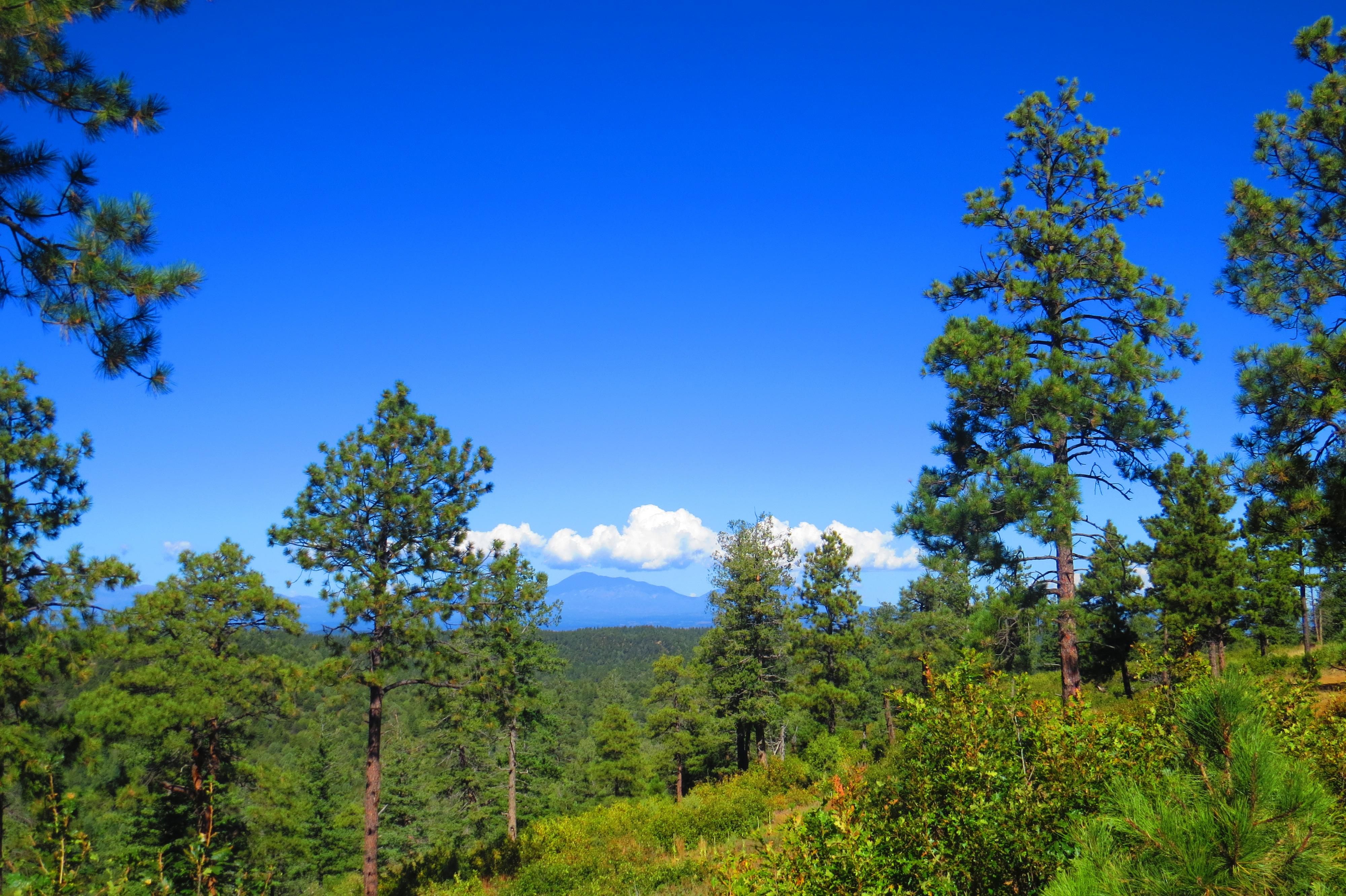 35 acres in Las Animas County, Colorado