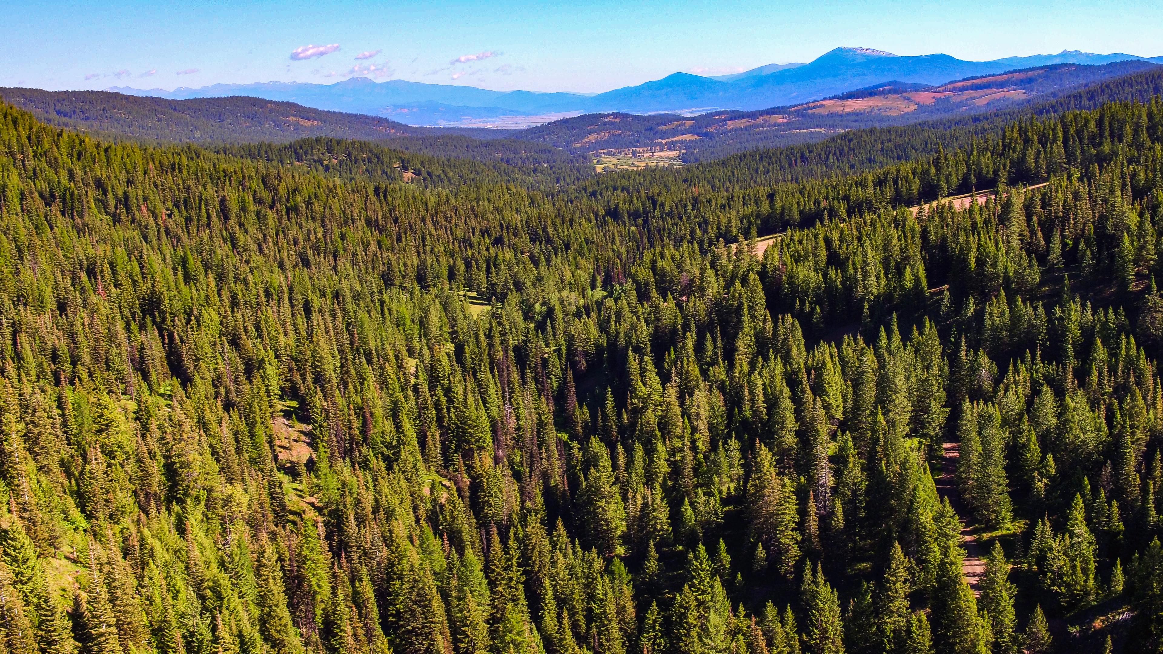 31,122 acres in Adams County, Idaho