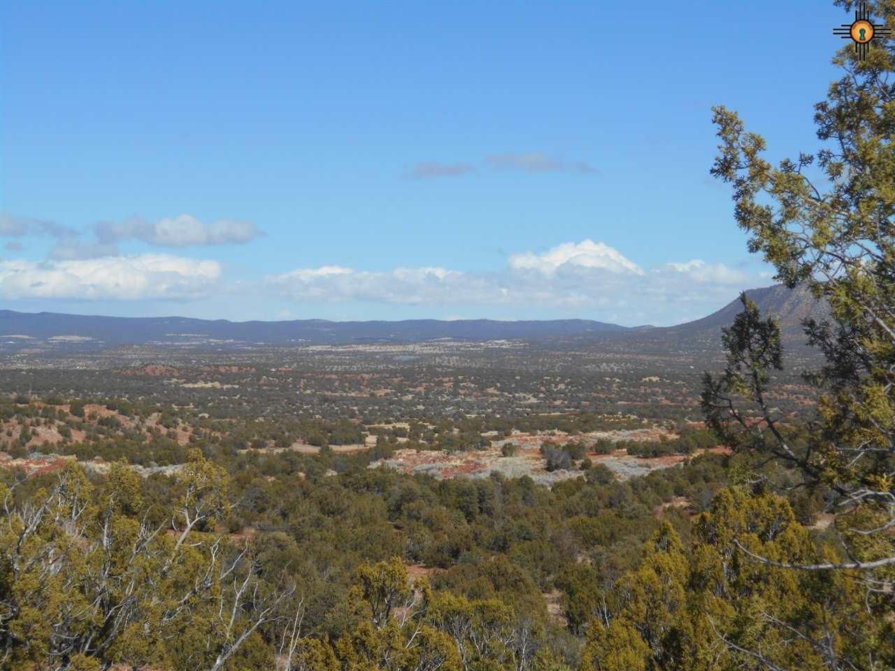 79.90 acres in San Miguel County, New Mexico