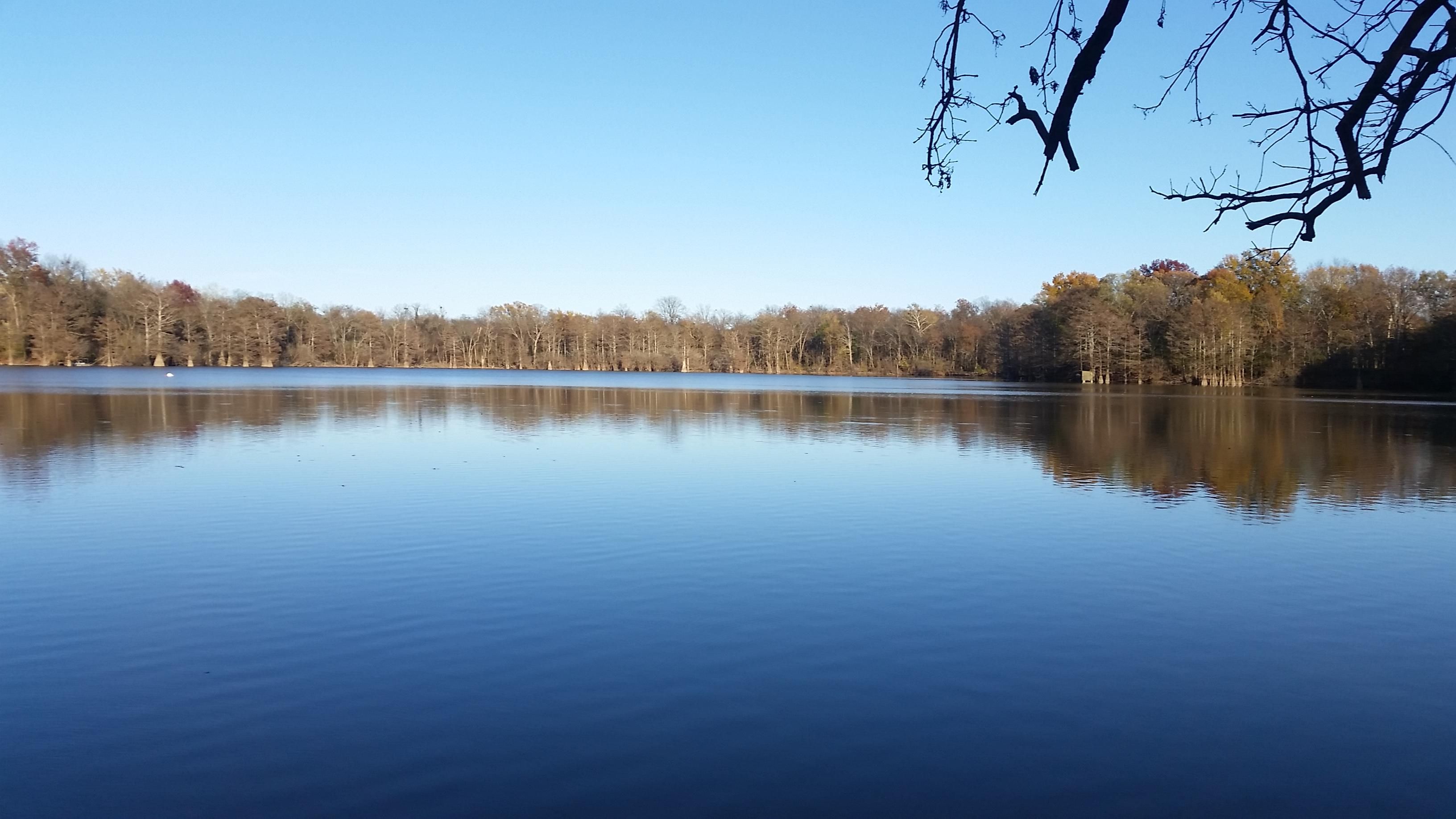 611 acres in Prairie County, Arkansas