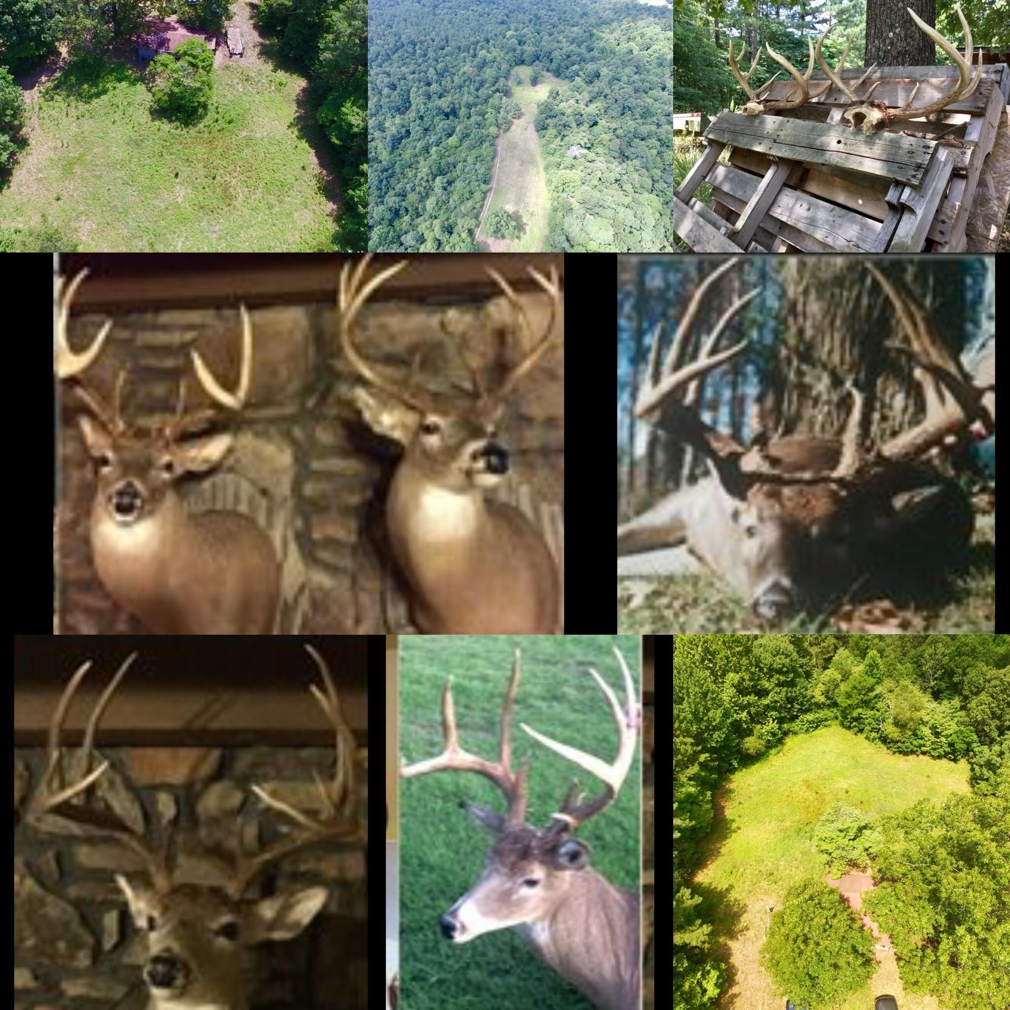 500 acres in Crittenden County, Kentucky