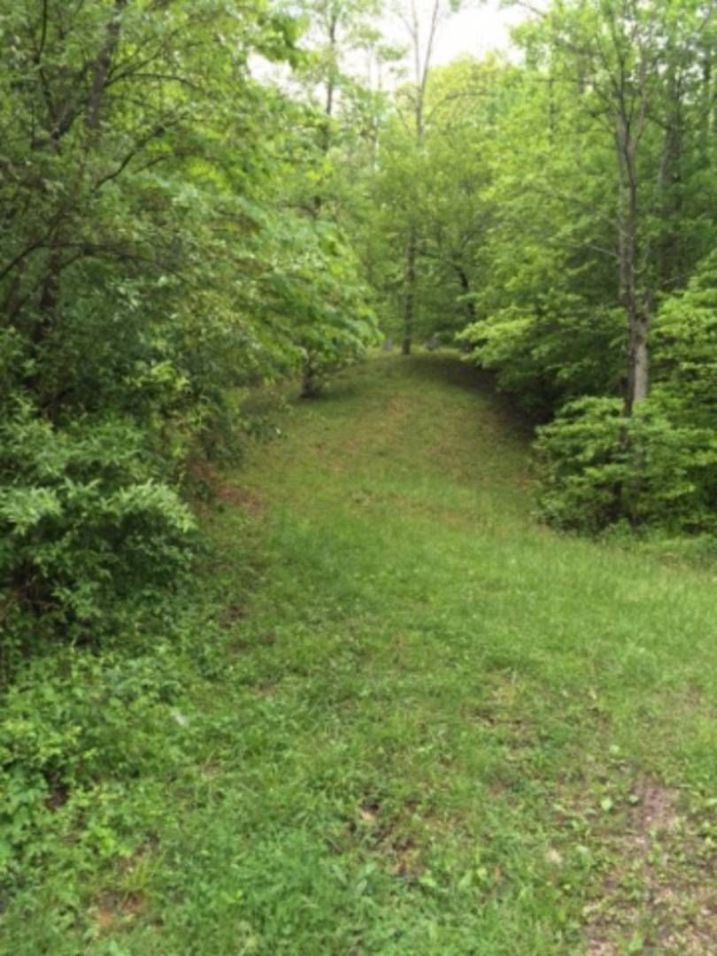 89 acres in Elliott County, Kentucky
