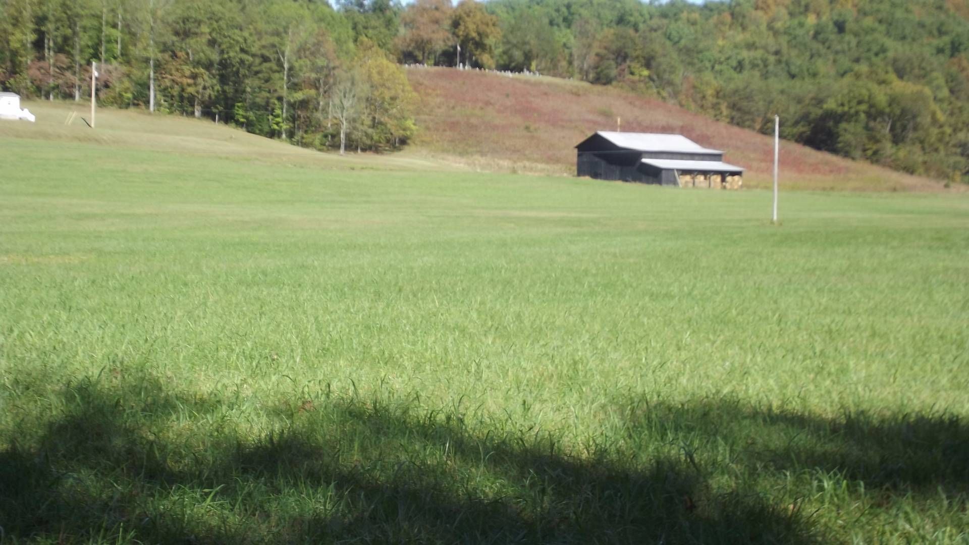 200 acres in County, Kentucky