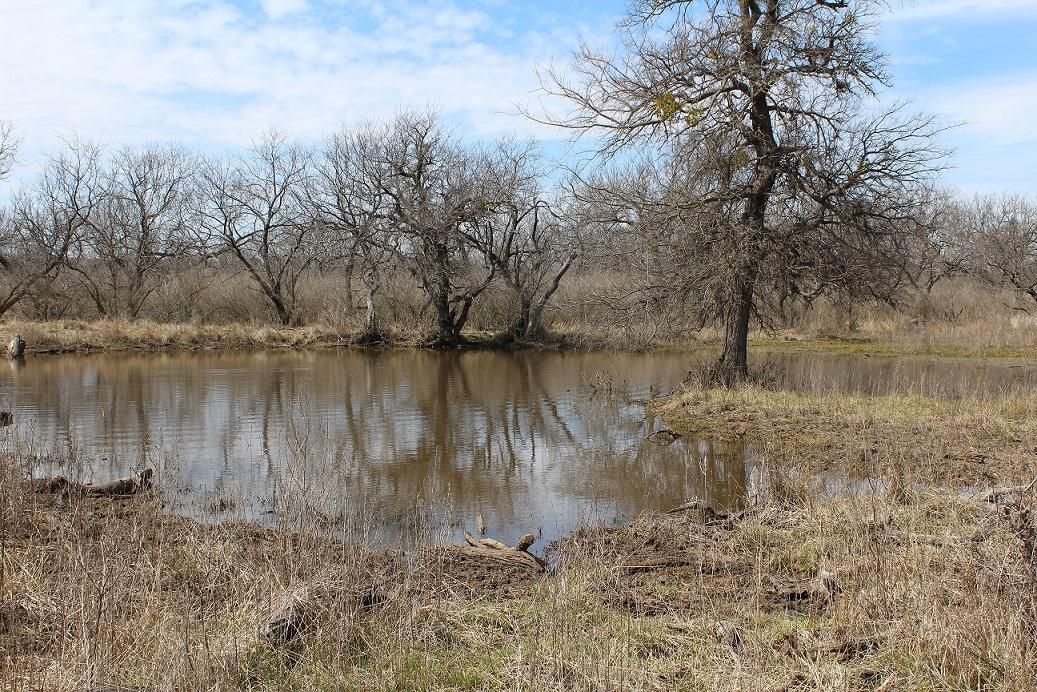 130 acres in Brown County, Texas