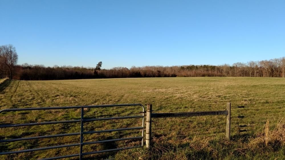 33 acres in Chatham County, North Carolina