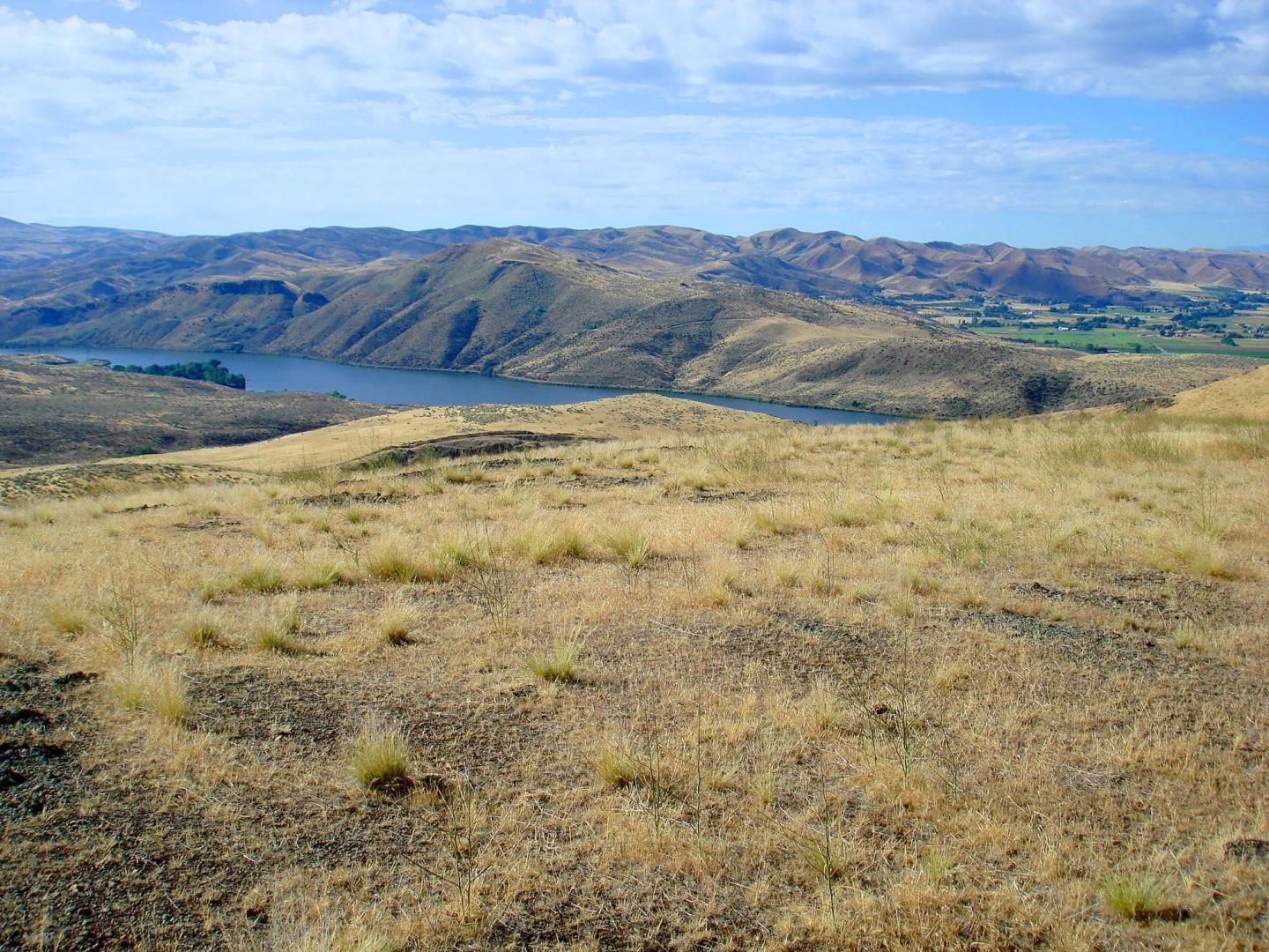 40 acres in Gem County, Idaho