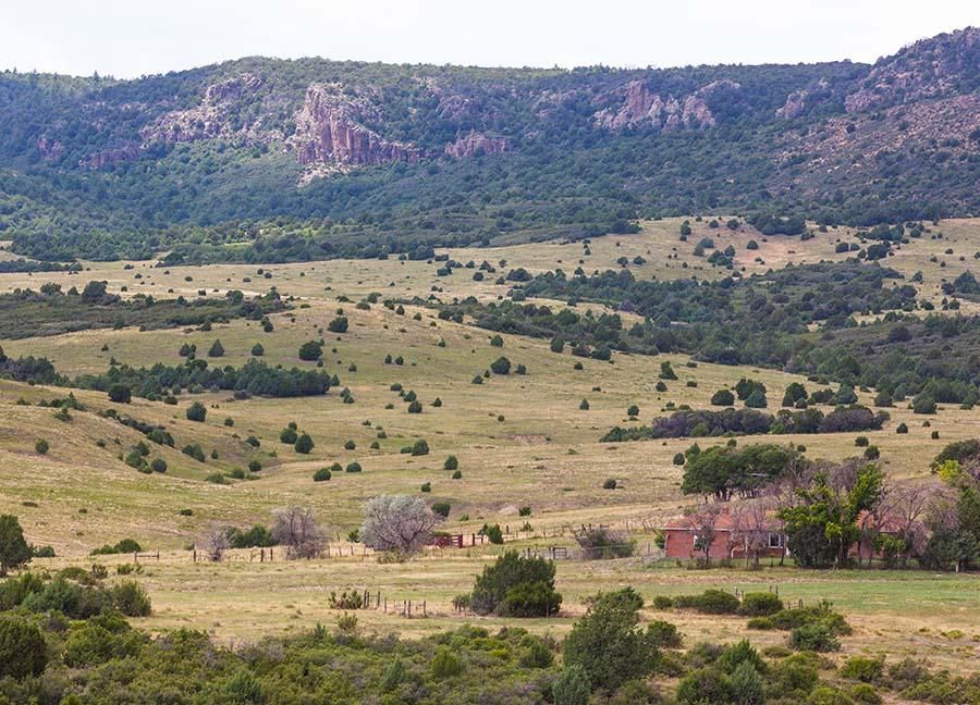 11,644 acres in Union County, New Mexico