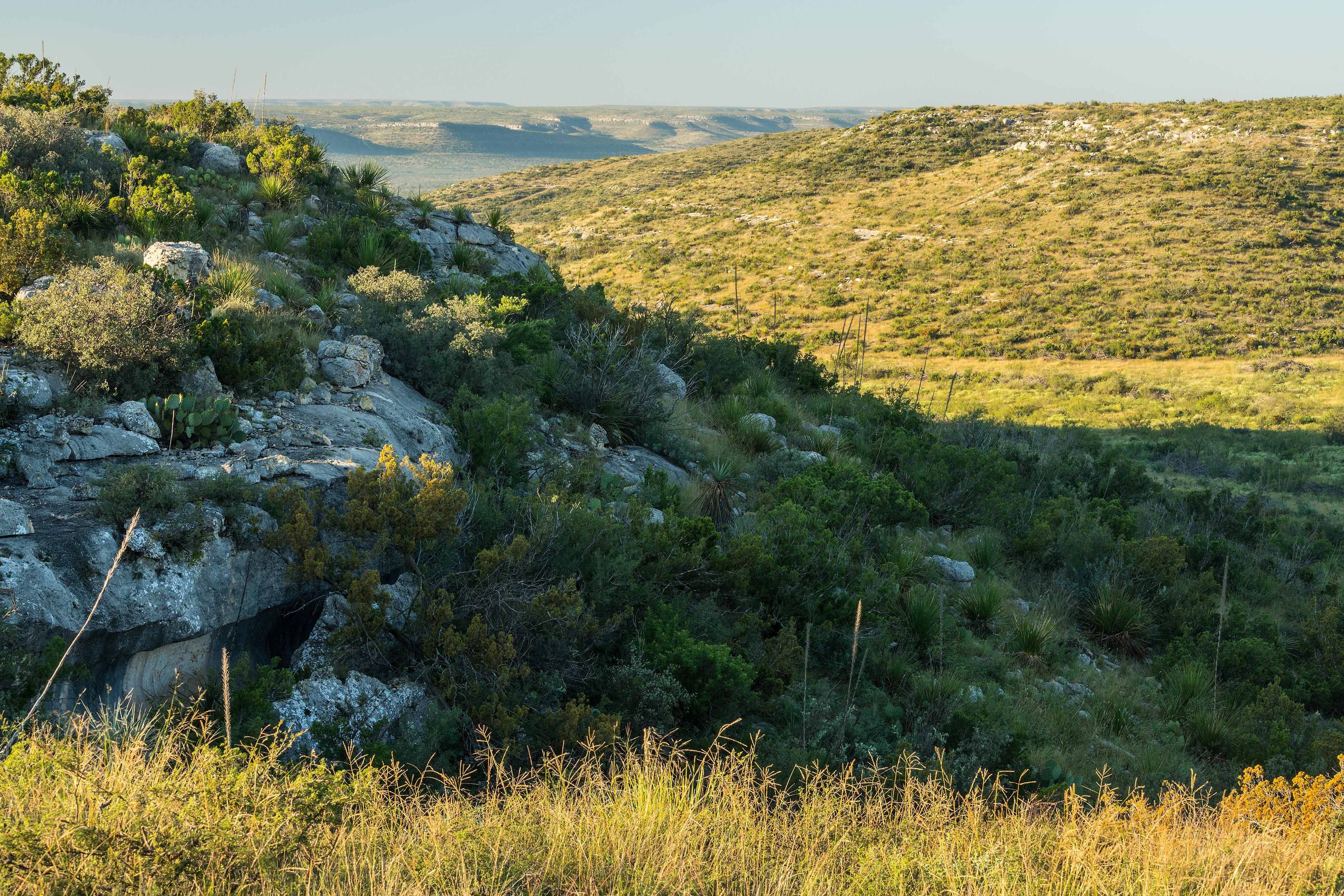 2858.00 acres in Pecos County, Texas