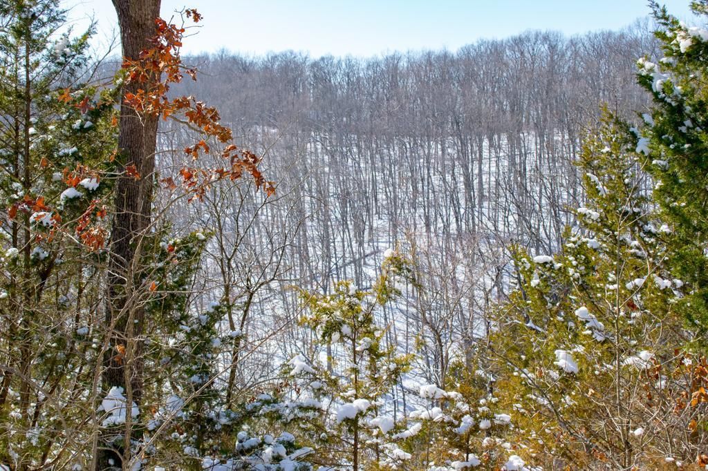 118 acres in Barry County, Missouri