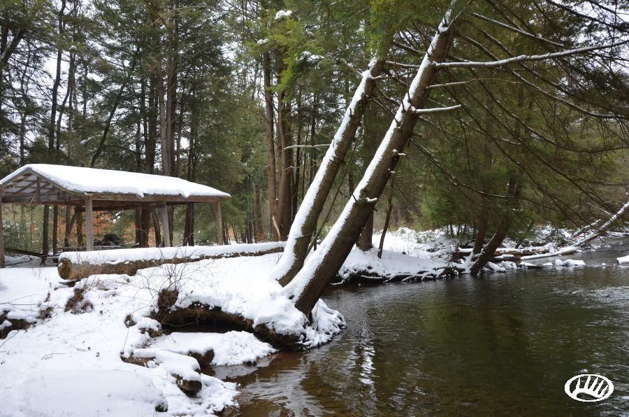 59 acres in Elk County, Pennsylvania