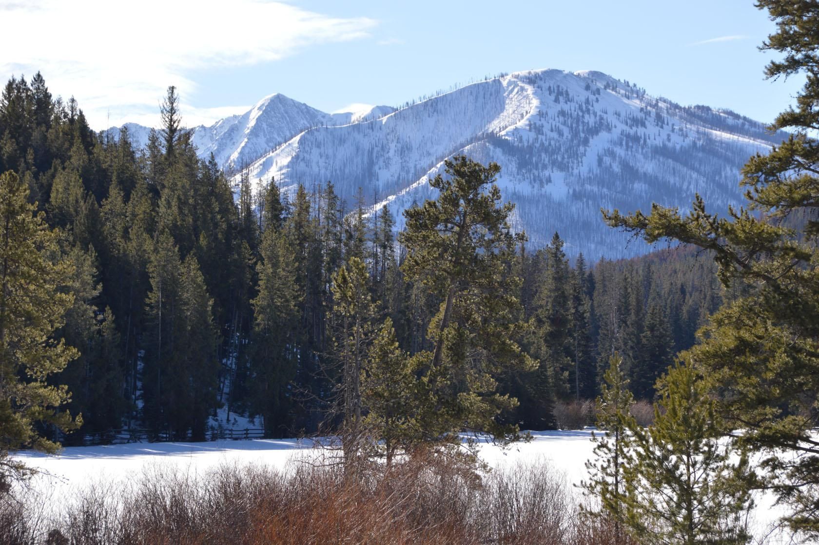 146 acres in Granite County, Montana