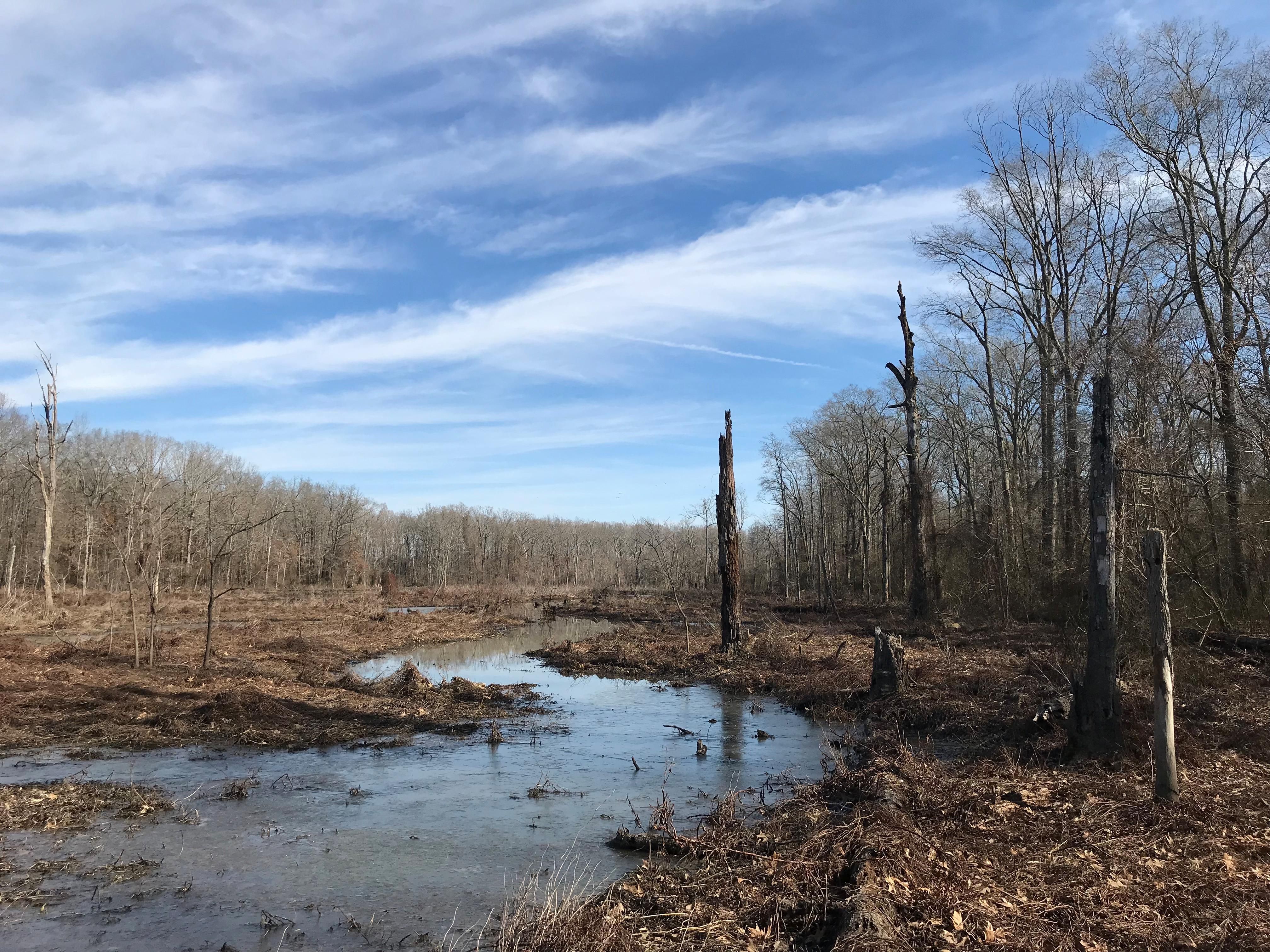 40 acres in Prairie County, Arkansas