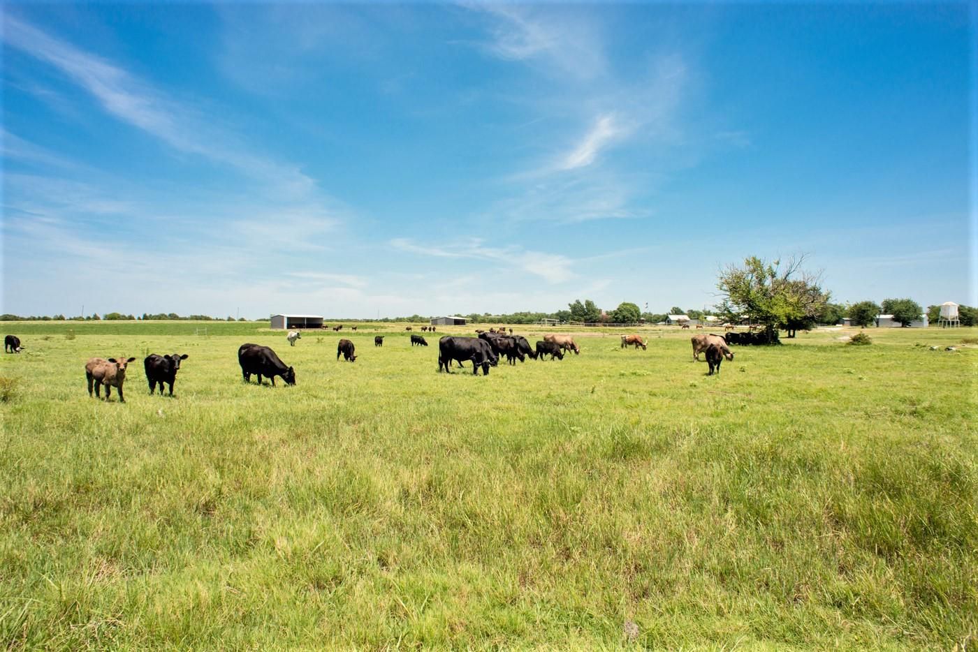 252 acres in Fannin County, Texas