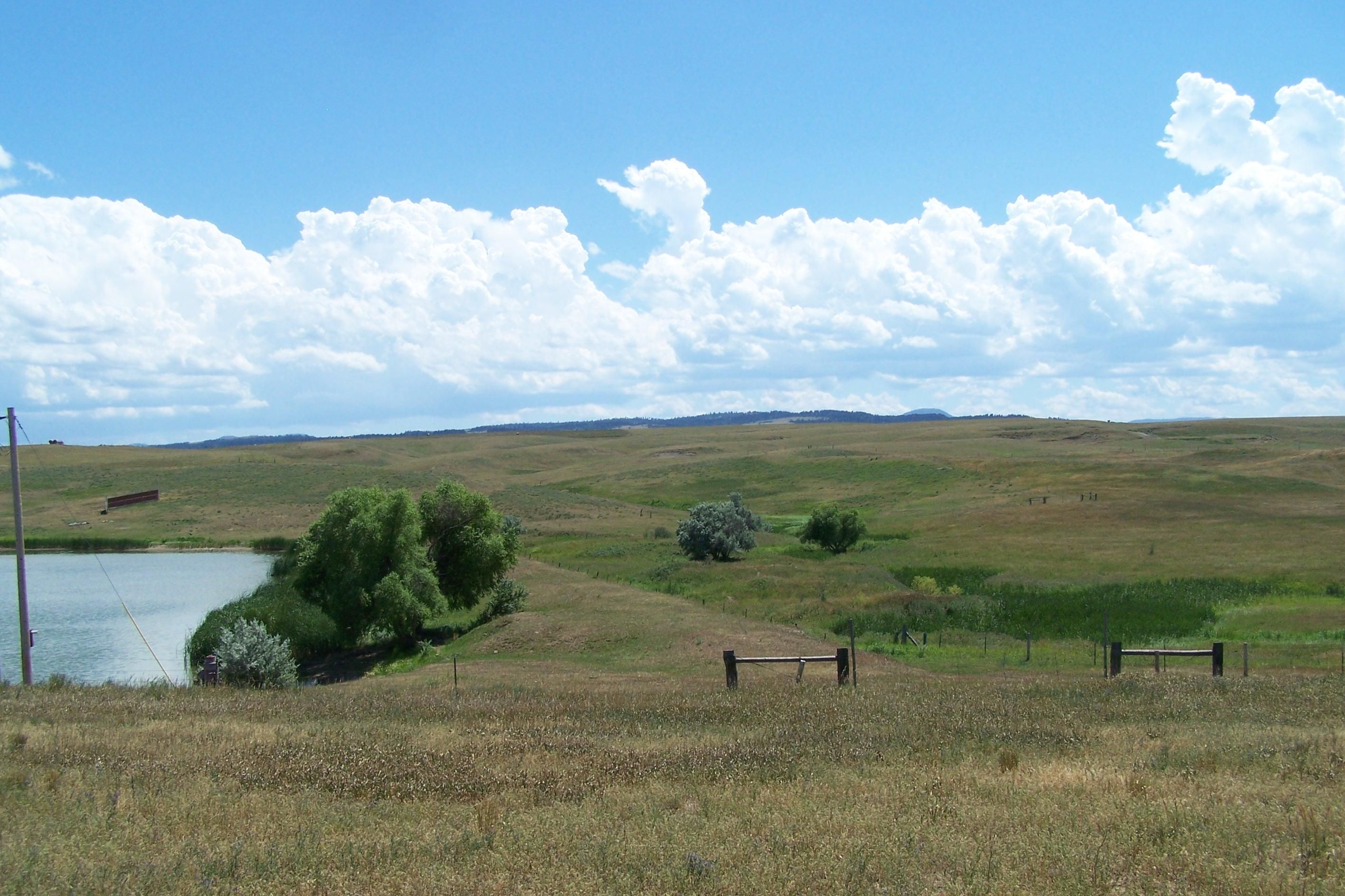100 acres in Lawrence County, South Dakota