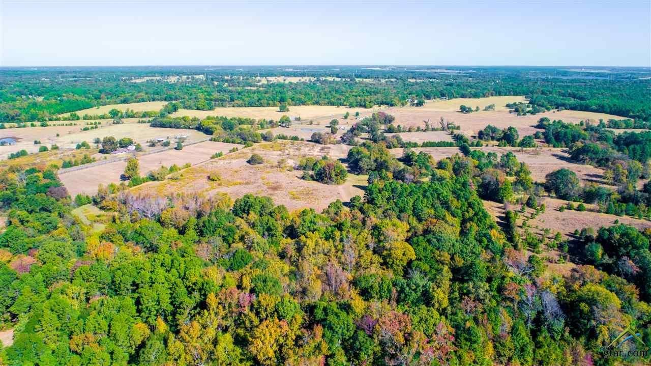 67 acres in Titus County, Texas