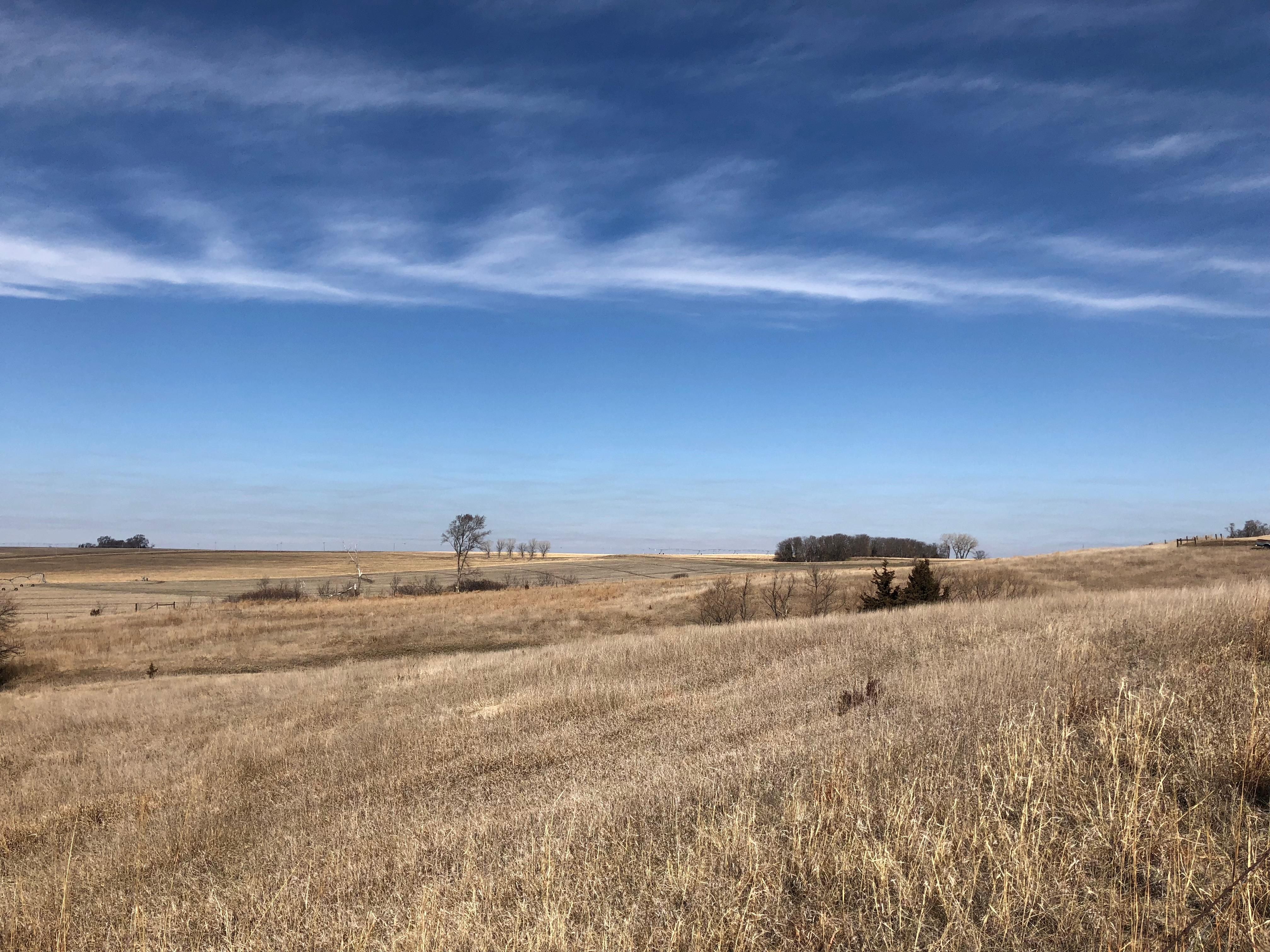80 acres in Colfax County, Nebraska