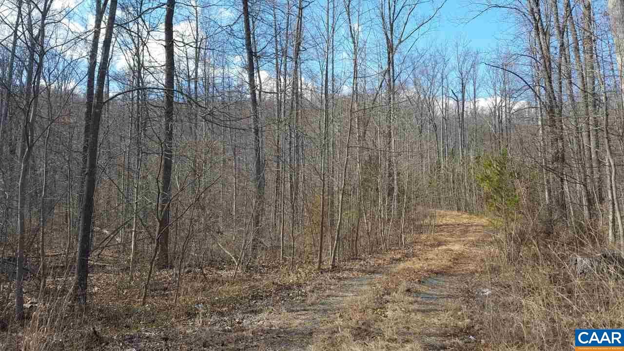 32.18 acres in Albemarle County, Virginia
