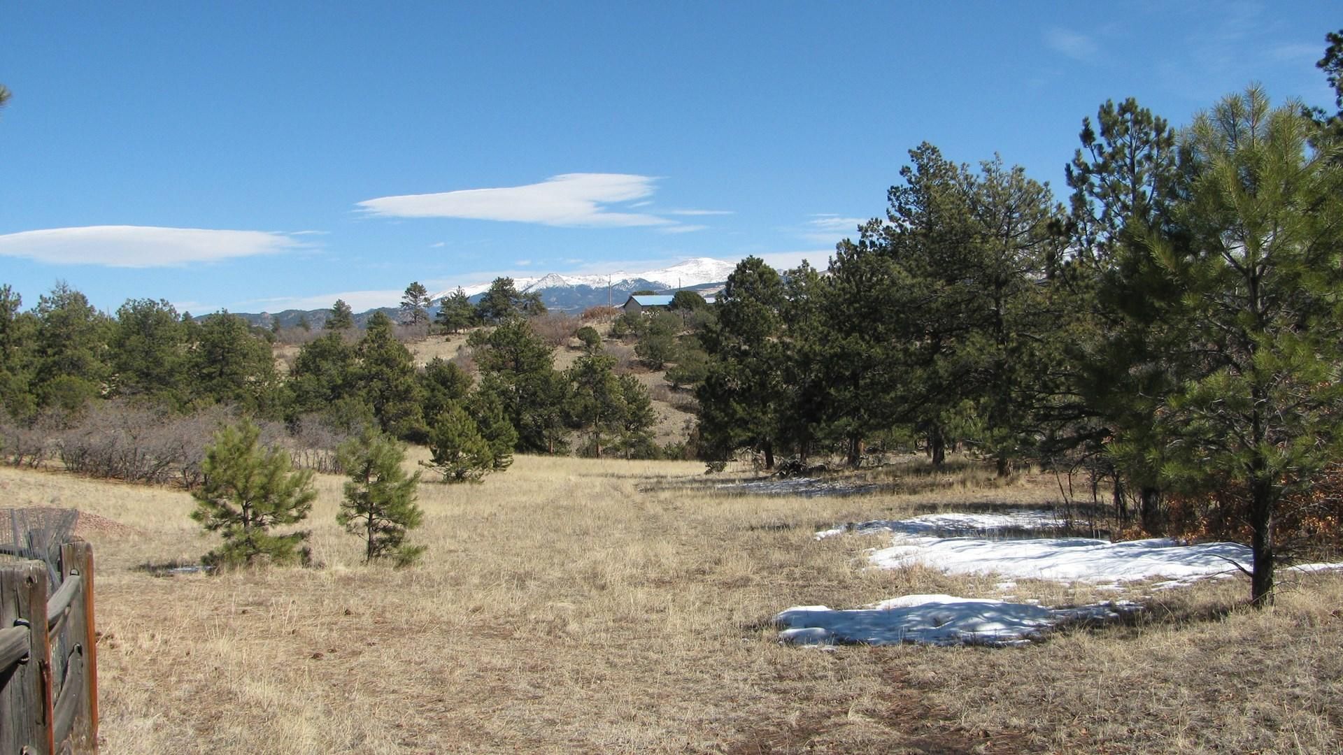 43 acres in Teller County, Colorado