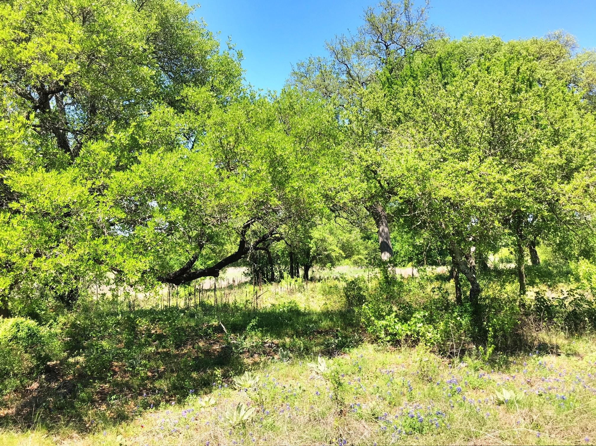 4 acres in Bosque County, Texas