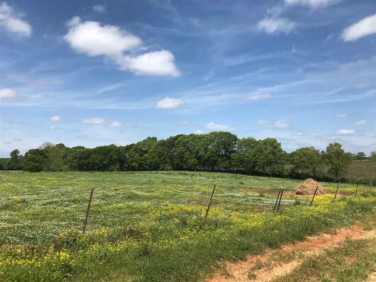 43 acres in Smith County, Mississippi
