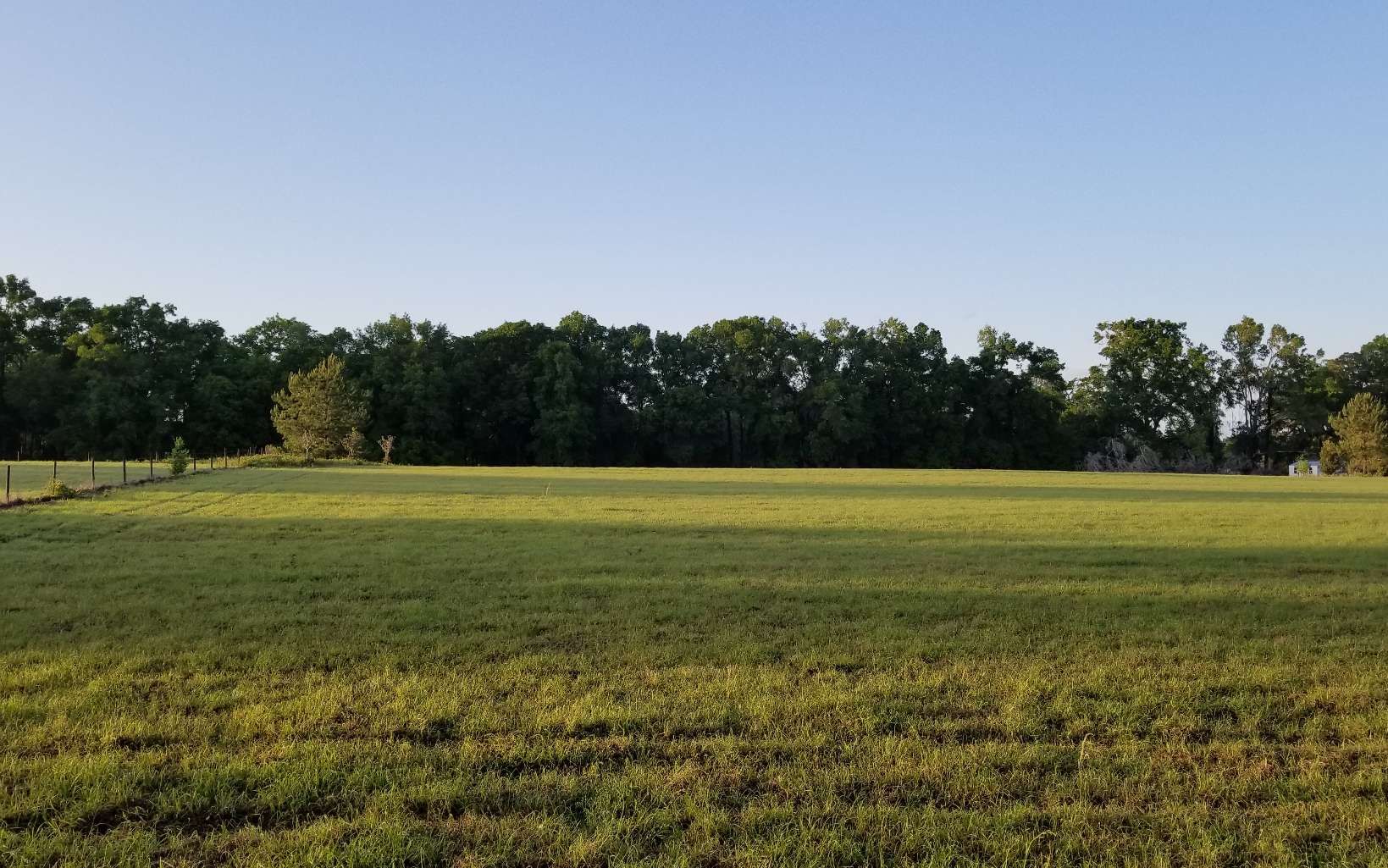 5 acres in Columbia County, Florida