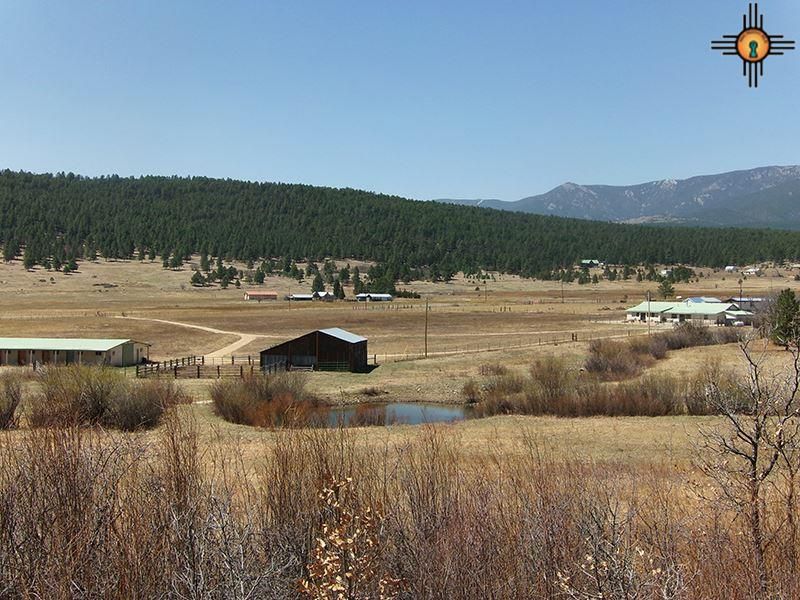40.3 acres in Mora County, New Mexico